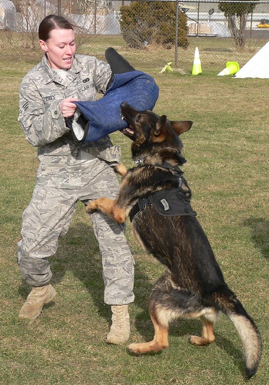 Military Police German Shepherd, Toys German Shepherd