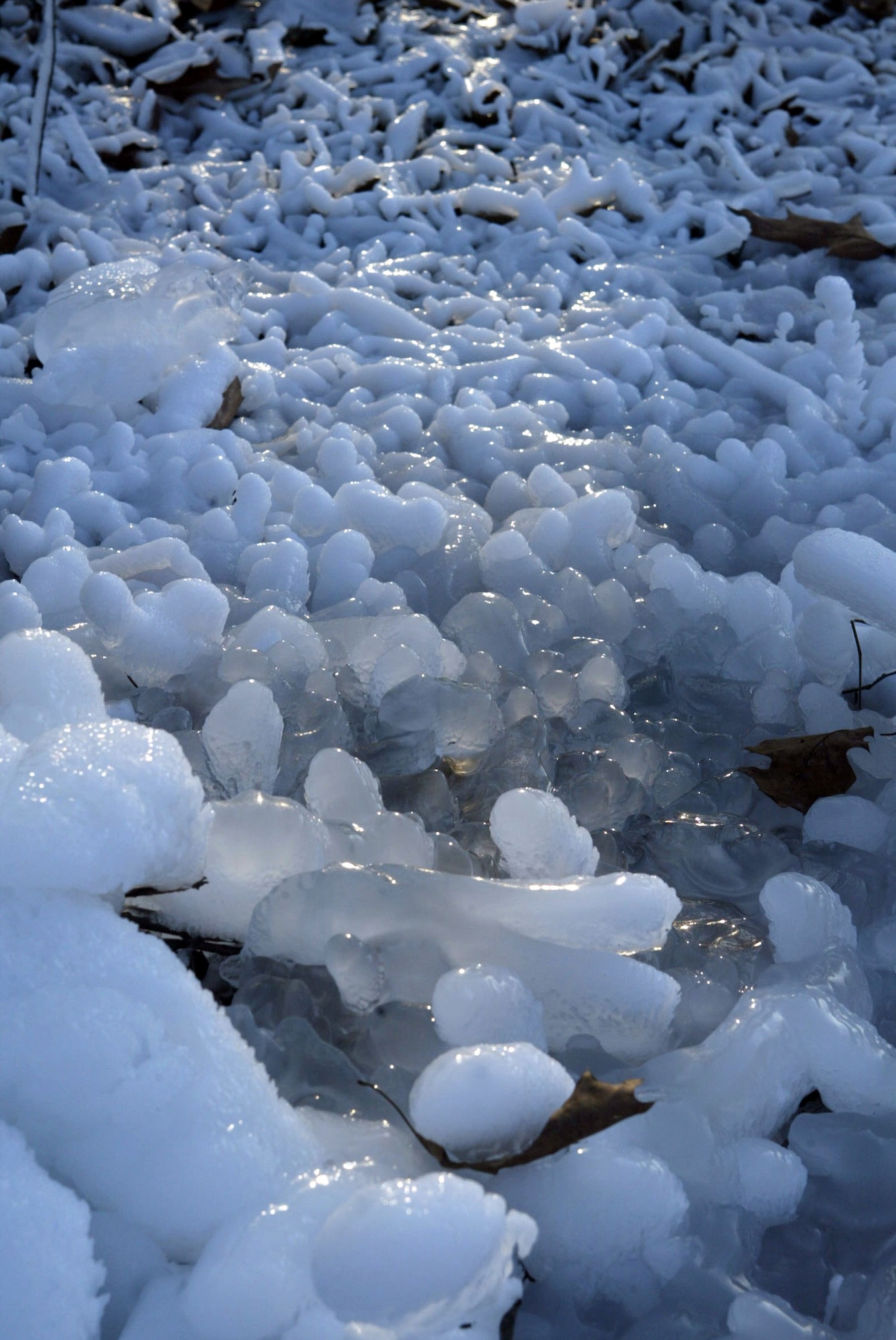 A leaking water hose supplying water to the base fitness center is responsible for this massive ice sculpture Jan. 5. Metro Atlanta, including Dobbins Air Reserve Base, has experienced freezing temperatures for several days with wind chills as low as 4 degrees. Forecasters predict a chance of snow Thursday evening. Call 678-655-2333 for any delays or base closures. (U.S. Air Force photo/Don Peek)
