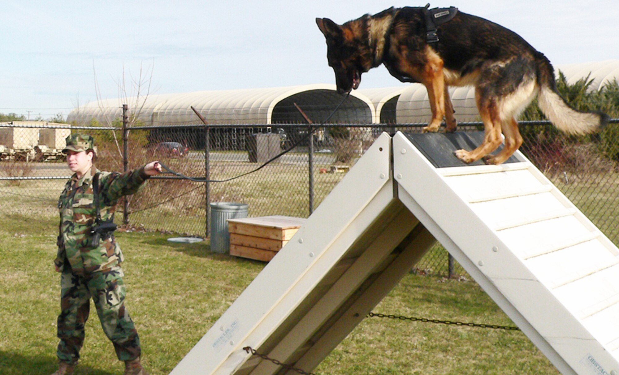 Navy dog handler Petty Officer 2nd Class Ashley Bidon walks her military working dog across an obstacle course at the base kennel Jan. 5, 2010, at Joint Base McGuire-Dix-Lakehurst, N.J. The obstacles are used to aid obedience refresher training and to keep the animals in top physical condition. (U.S. Air Force photo/Steve Snyder)