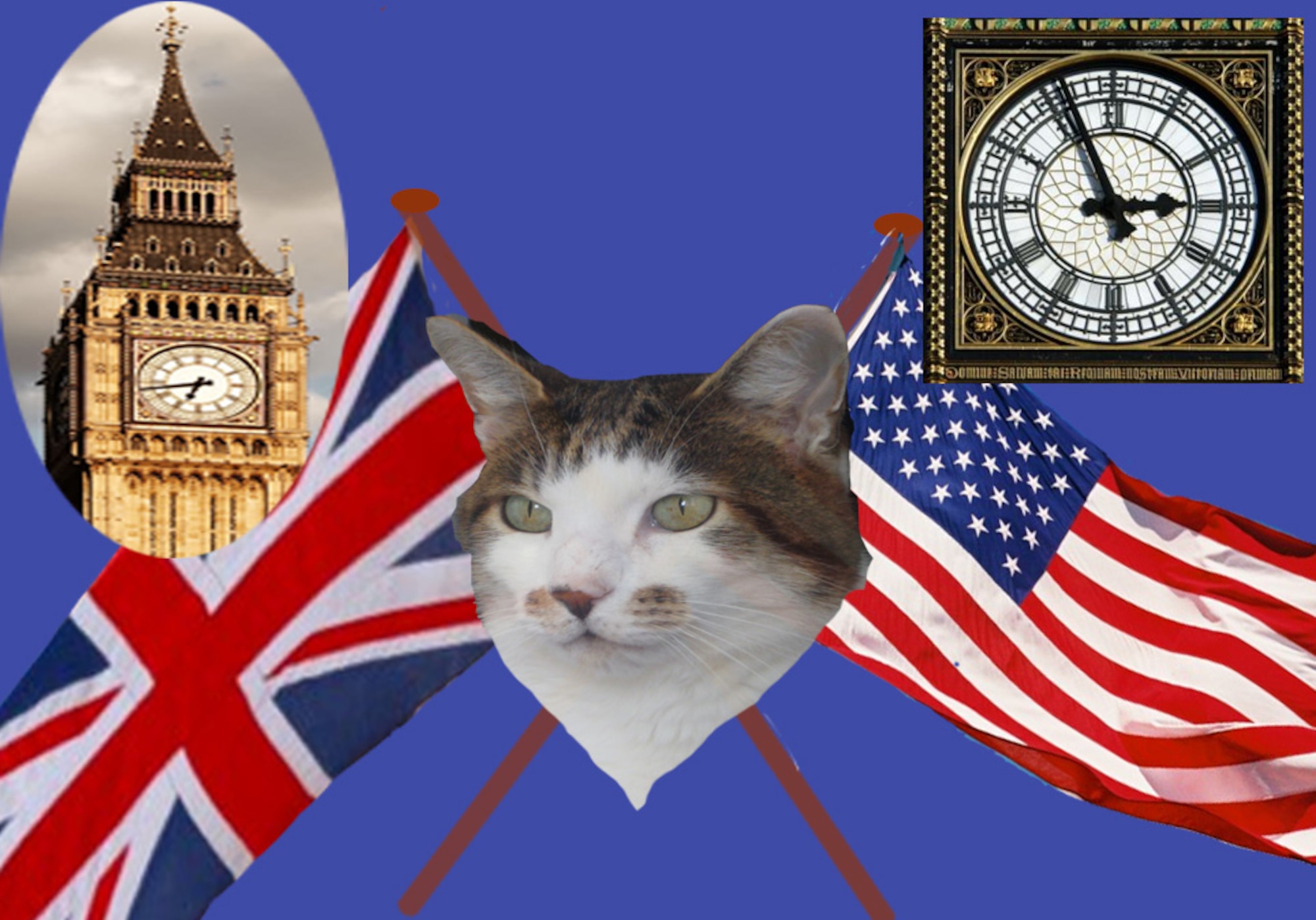 Billy the Cat (aka British Billy) lives in Elveden, a local village about ten miles from RAF Lakenheath. Billy has been around a bit. He came from a rescue centre and prefers not to dwell on the past. He is proud of his country and its heritage and counts his friends and family as hailing from all corners of the British Isles. He is proud to be a “moggy”. Many of his American friends and admirers ask Billy about the things puzzling them about life and culture in the U.K., and if he doesn’t know the answer, he has ways and means of finding out. Feel free to send him any questions, and when he isn’t sleeping or hunting, he’ll try and put a few thoughts together to help you out.
