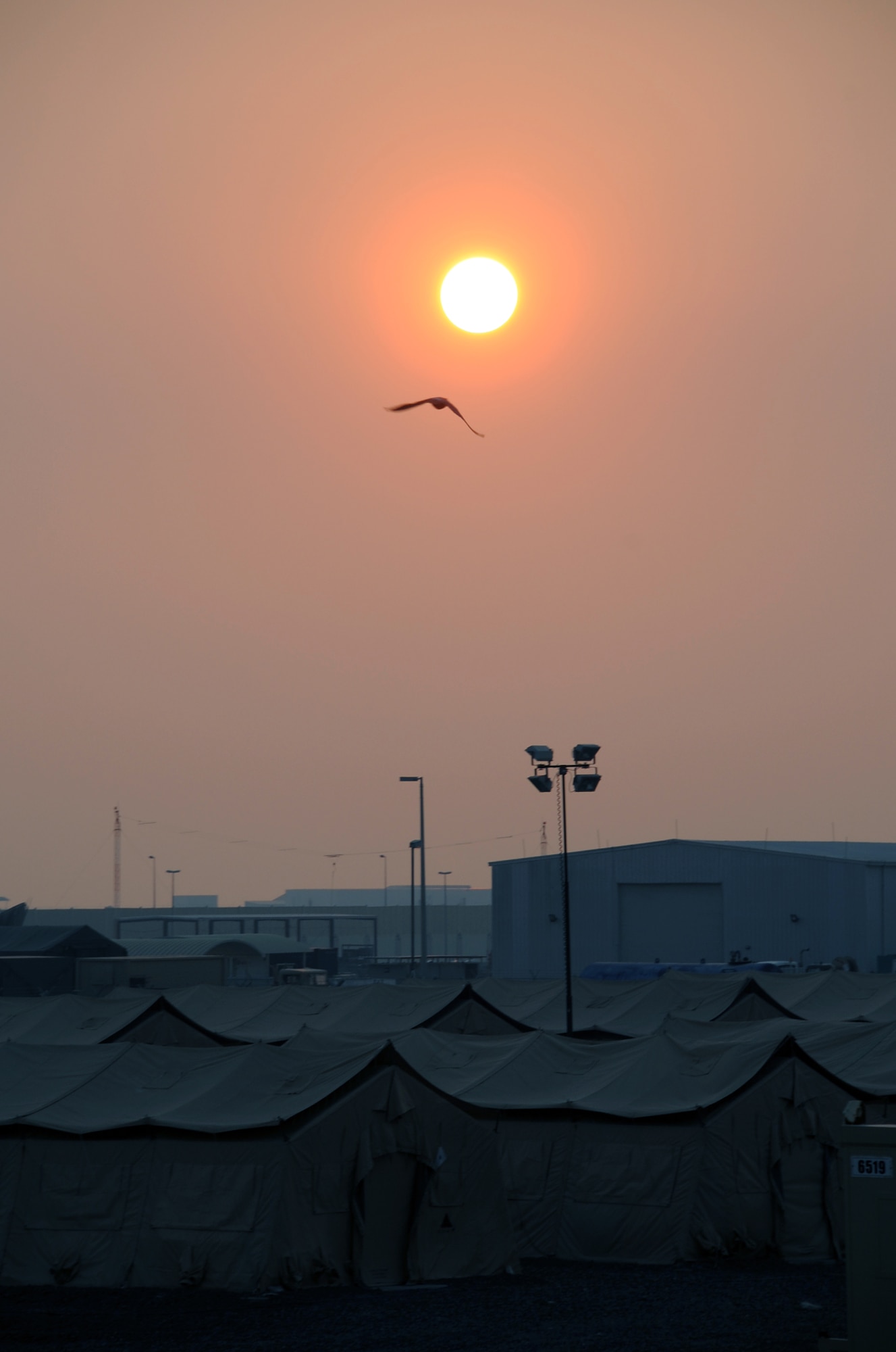 A bird is silouetted by the setting sun Jan. 5, 2009, as it flies over the 380th Air Expeditionary Wing camp at a non-disclosed location in Southwest Asia.  The 380th AEW is comprised of four groups and 12 squadrons and the wing?s deployed mission includes air refueling, surveillance, and reconnaissance in support of overseas contingency operations in Southwest Asia. (U.S. Air Force Photo/Tech. Sgt. Scott T. Sturkol/Released)