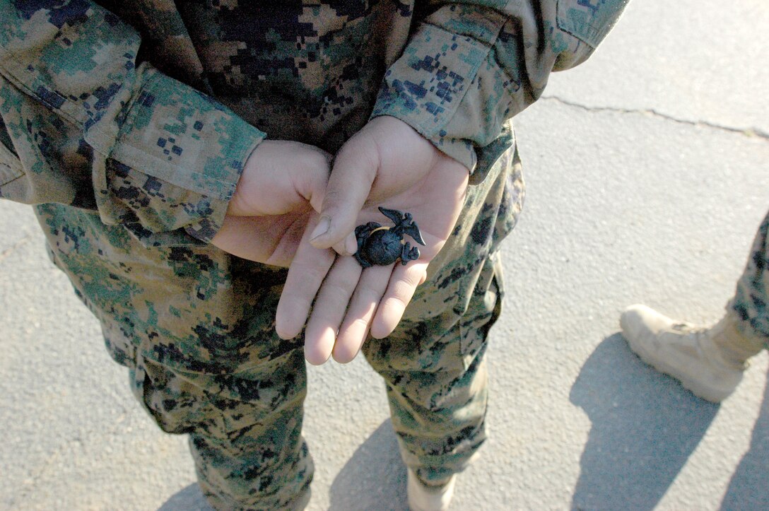 During the Emblem Ceremony, drill instructors give the recruits their eagle, globe, and anchor, which symbolizes the recruits earning the title of Marine, Jan. 7, 2010.