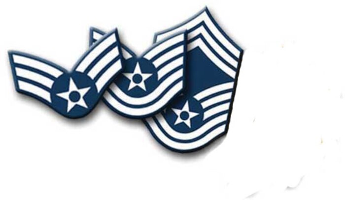 Promotion graphic (U.S. Air Force graphic/Capt. Marnee A.C. Losurdo)