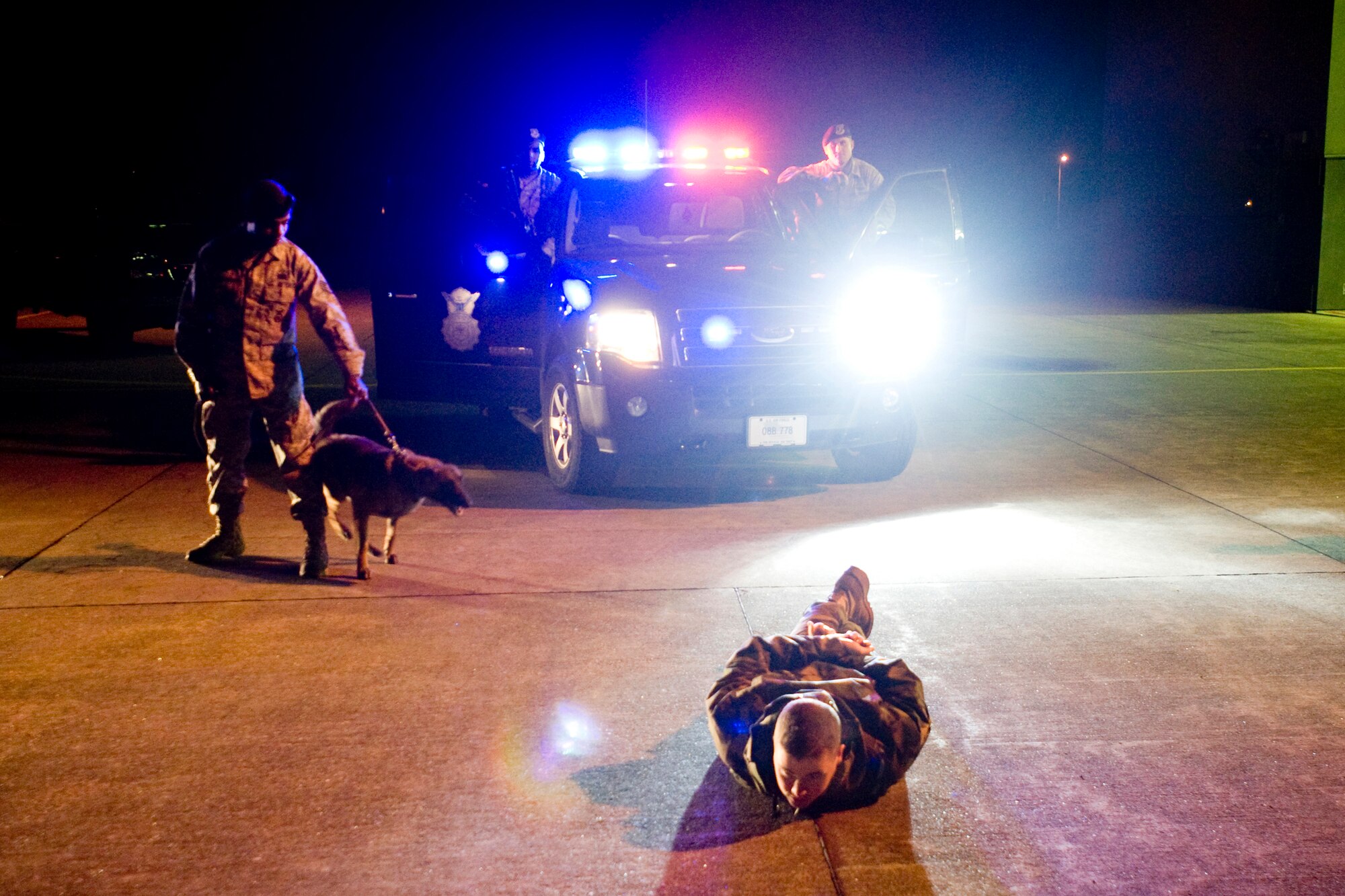 MISAWA AIR BASE, Japan -- Staff Sgt. Rojen Richards, 35th Security Forces Squadron dog handler, and military working dog Didi restrain Navy Seaman Cooper Burton, Naval Air Facility master of arms, during a simulated security breach Jan. 7 on the flightline. Although assigned to the NAF, Seaman Burton works with the 35th SFS as an augmentee. (U.S. Air Force photo/Senior Airman Jamal D. Sutter)