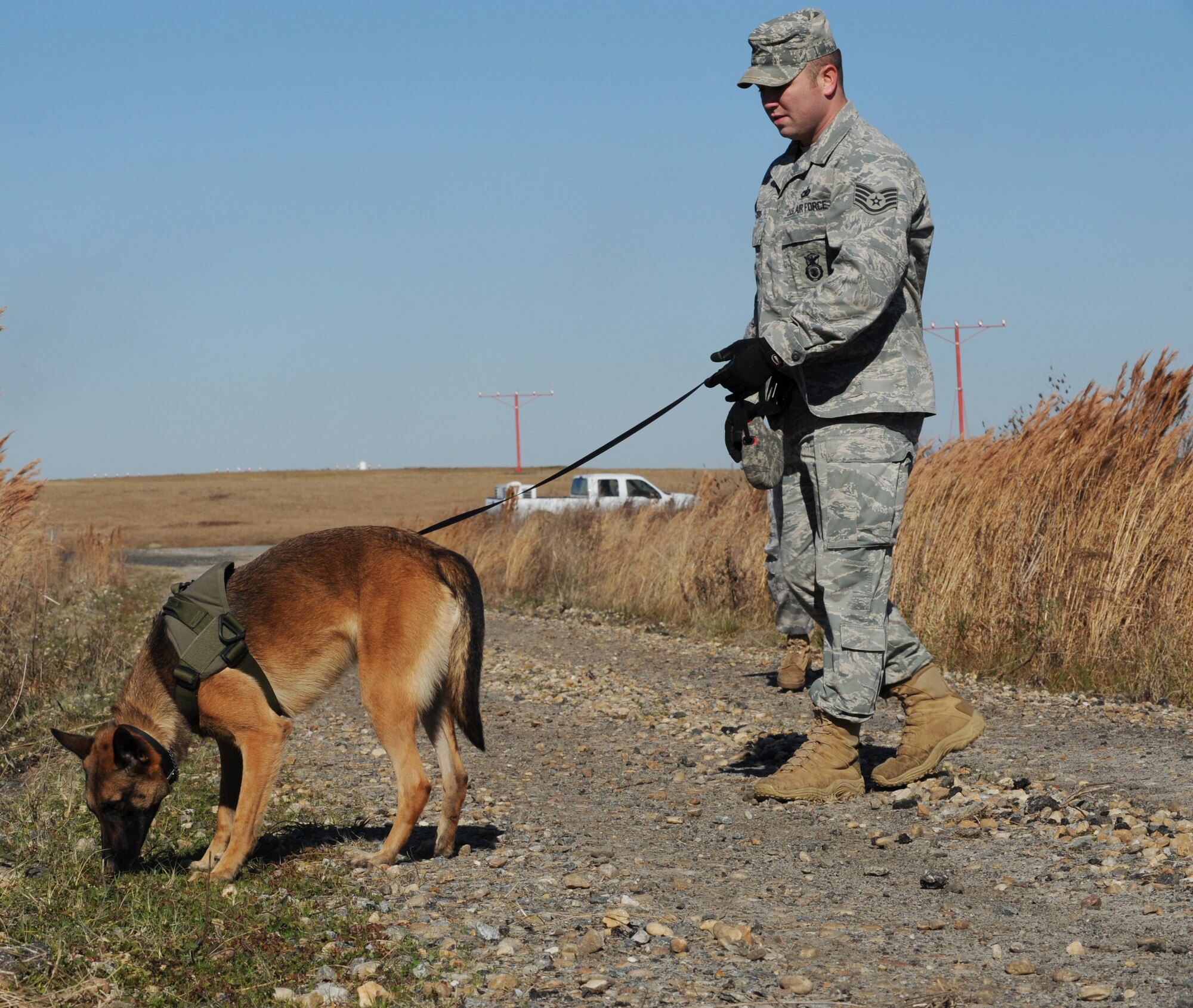 MOODY AIR FORCE BASE, Ga. -- Staff Sgt. Michael Myers, 822nd Security Forces Squadron military working dog handler, waits as his MWD, Rrhyana, catches a scent during a scouting exercise here Jan.5. During this exercise, the trainers and their MWDs were tasked to safely find hidden explosives along the roadside. (U.S. Air Force photo by Airman 1st Class Benjamin Wiseman)