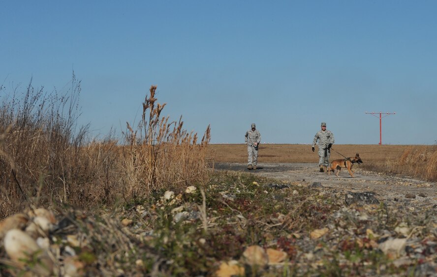 MOODY AIR FORCE BASE, Ga. -- Staff Sgt. Michael Myers and Jeremy Burkeen, 822nd Security Forces Squadron military working dog handlers, take Rrhyana, 822nd SFS MWD, through a road-side training exercise here Jan. 5. These exercises are held frequently to prepare the MWDs and their handlers for real-world scenarios. (U.S. Air Force photo by Airman 1st Benjamin Wiseman)