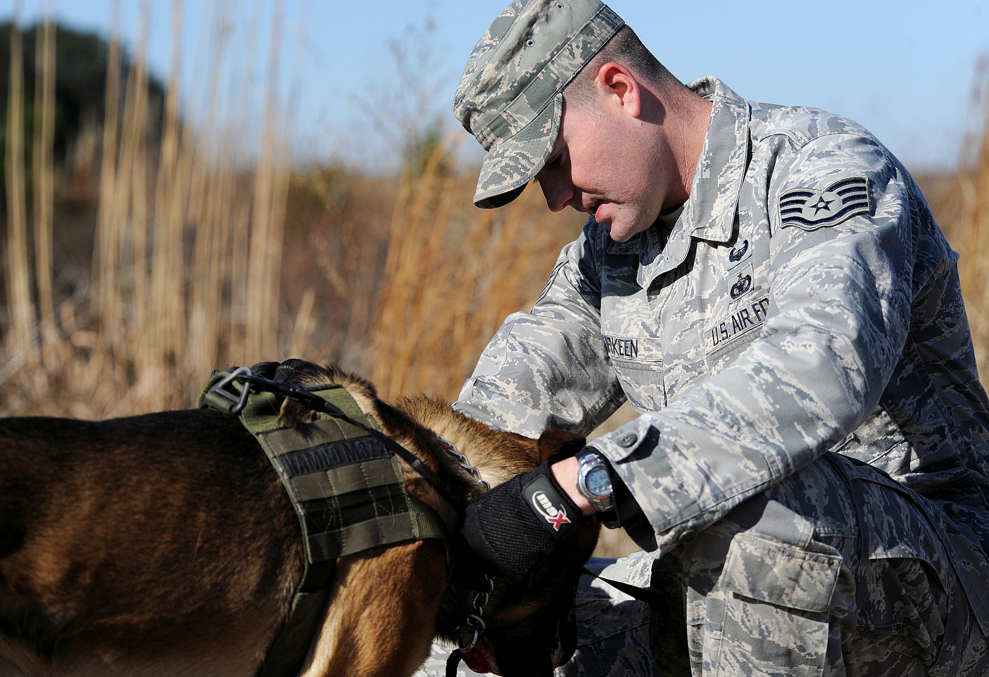 MOODY AIR FORCE BASE, Ga. -- Staff Sgt. Jeremy Burkeen, 822nd Security Forces Squadron military working dog handler, rewards his MWD, Rambo, with a chew toy after a scout training exercise here Jan. 5. During the exercise, the MWDs are tasked to search for certain objects and possible areas of danger using side to side scanning techniques. (U.S. Air Force photo by Airman 1st Class Joshua Green)