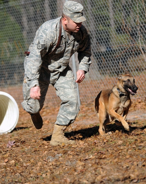 MOODY AIR FORCE BASE, Ga. -- Staff Sgt. Michael Myers, 822nd Security Forces Squadron military working dog handler, runs alongside his MWD, Rrhyana, during a confidence course here Jan. 5. The course is designed to build the MWD’s confidence and obedience while maneuvering through different obstacles as well as her ability to correctly respond to certain commands. (U.S. Air Force photo by Airman 1st Class Joshua Green)