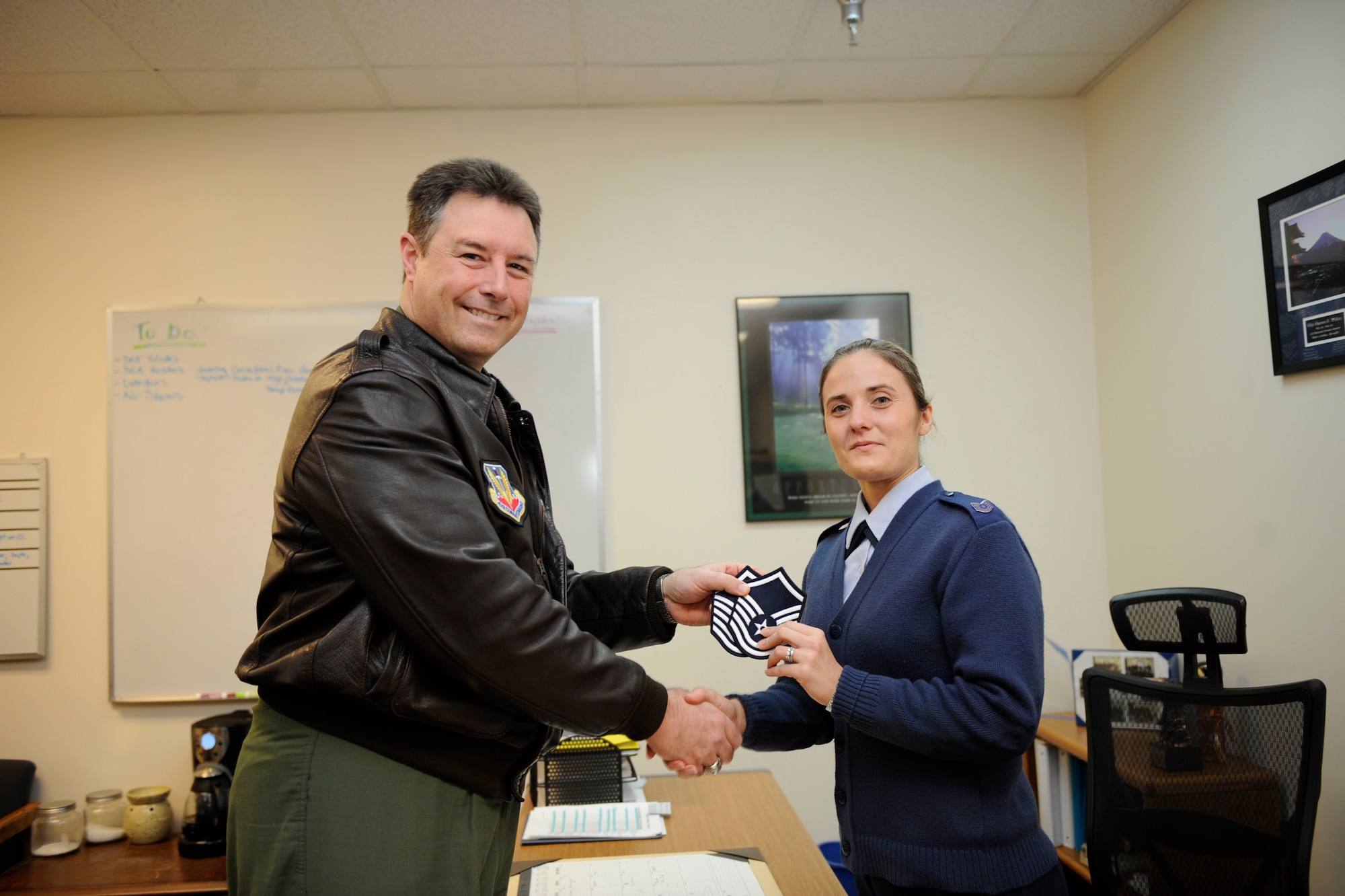 Tech. Sgt. Shannon Wilkins, 366th Maintenance Operations Squadron, accepts her promotion to master sergeant from Col. John Bird, 366th Fighter Wing commander, at Mountain Home AFB, Idaho.  STEP stands for Air Force Stripes Awarded for Exceptional Performers, and promotions are awarded to enlisted individuals whose work performance stands out from their co-workers. (U.S. Air Force photo/Airman 1st Class Renishia Richardson)