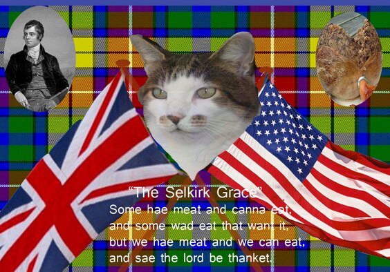British Billy this week explains some of the traditions surrounding the Scottish celebration of Burns Night. Robert Burns is regarded as the national poet of Scotland,and his birth is remembered each year with the Burns Night supper on Jan. 25, which includes the eating of haggis.
Feel free to send Billy any questions you have about life in the U.K., and when he isn’t sleeping or hunting, he’ll try and put a few thoughts together to help you out.
