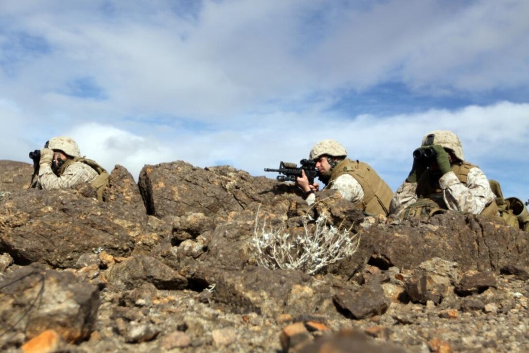 Marines with Weapons Company, 1st Battalion, 7th Marine Regiment, scan Combat Center Range 200 during the observation portion of the Combat Hunter Course here Jan. 22. The course's curriculum is broken up into three key elements; combat tracking, combat patrolling and observation.