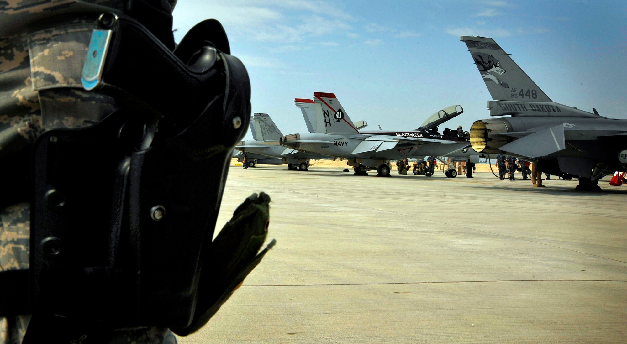 A security forces Airman stands guard while Airmen and Sailors perform maintenance on Air Force and Navy aircraft Jan. 22, 2010, at Bahrain's International Airshow.  (U.S. Air Force photo/Staff Sgt. Angelita Lawrence)
