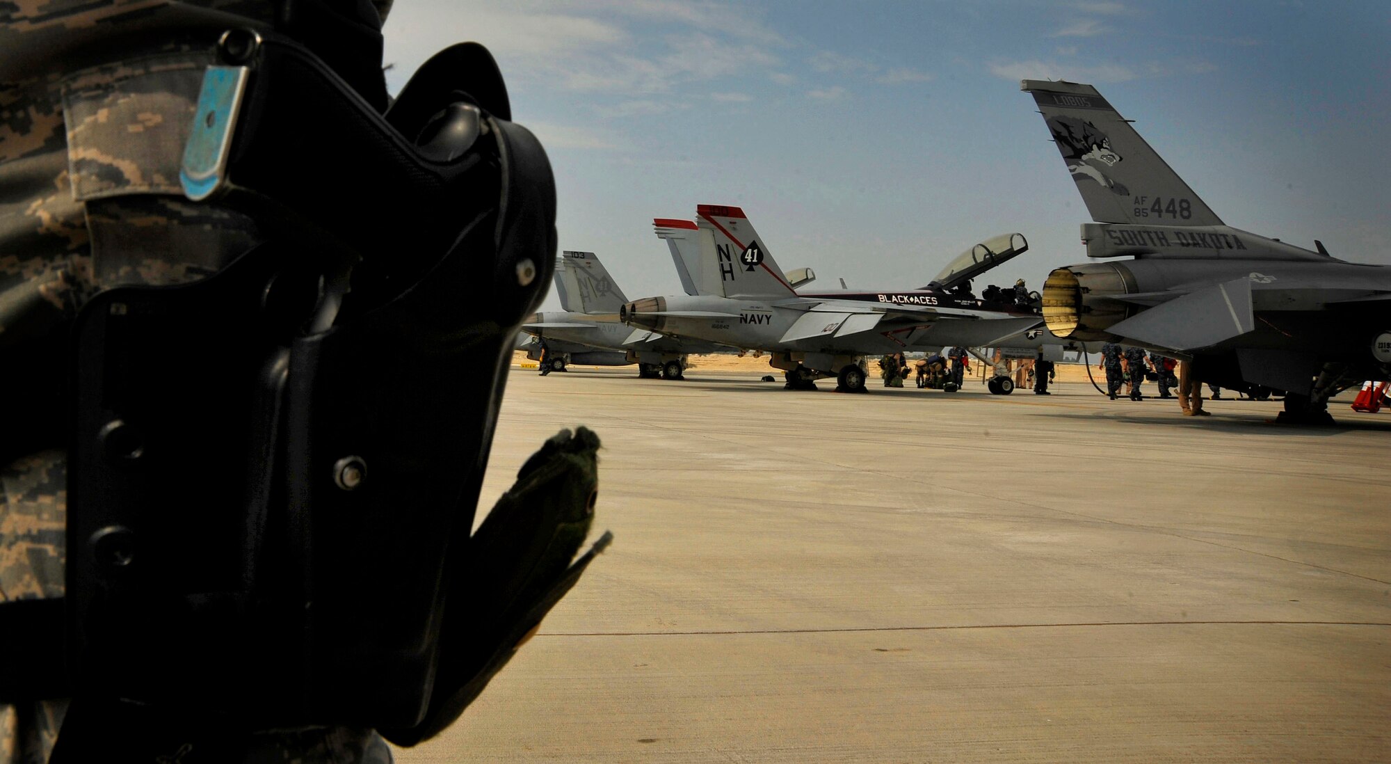 A U.S. Air Force security forces Airman stands guard while Airmen and Sailors perform maintenance on U.S. Air Force and Navy aircraft at Bahrain's International Airshow, Jan. 22, 2010.  (U.S. Air Force photo/Staff Sgt. Angelita Lawrence/released)