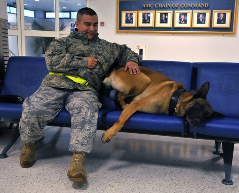 RAF MILDENHALL, England -- Ootto, a 5-year-old Belgian Malinois, takes a quick break with his handler, Staff Sgt. Eric Morales, 100th Security Forces Squadron, after sniffing around the base passenger terminal Jan. 22 in preparation for the arrival of Vice President Joe Biden.  (U.S. Air Force photo by Staff Sgt. Austin M. May)