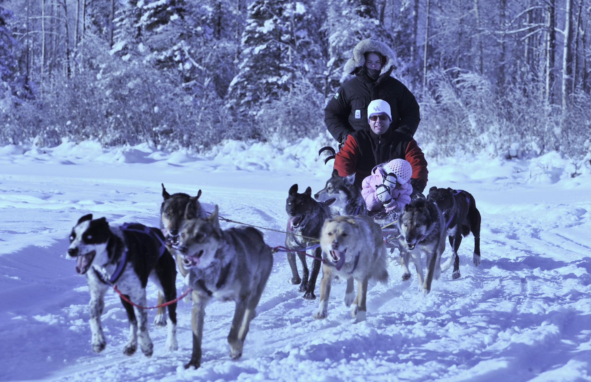 ELMENDORF AIR FORCE BASE, Alaska -- Capt. Brian Clark and his daughter Cameron ride the dog sled while Christina Rose leads the dog team at the Hillberg Ski Area Jan. 23. It was the Clarks' first dog-sled ride. Clark is a member of the 962nd Aircraft Maintenance Unit. Rose is a member of the Willow Dog Mushers Association. (Air Force photo by Senior Airman David Carbajal)
