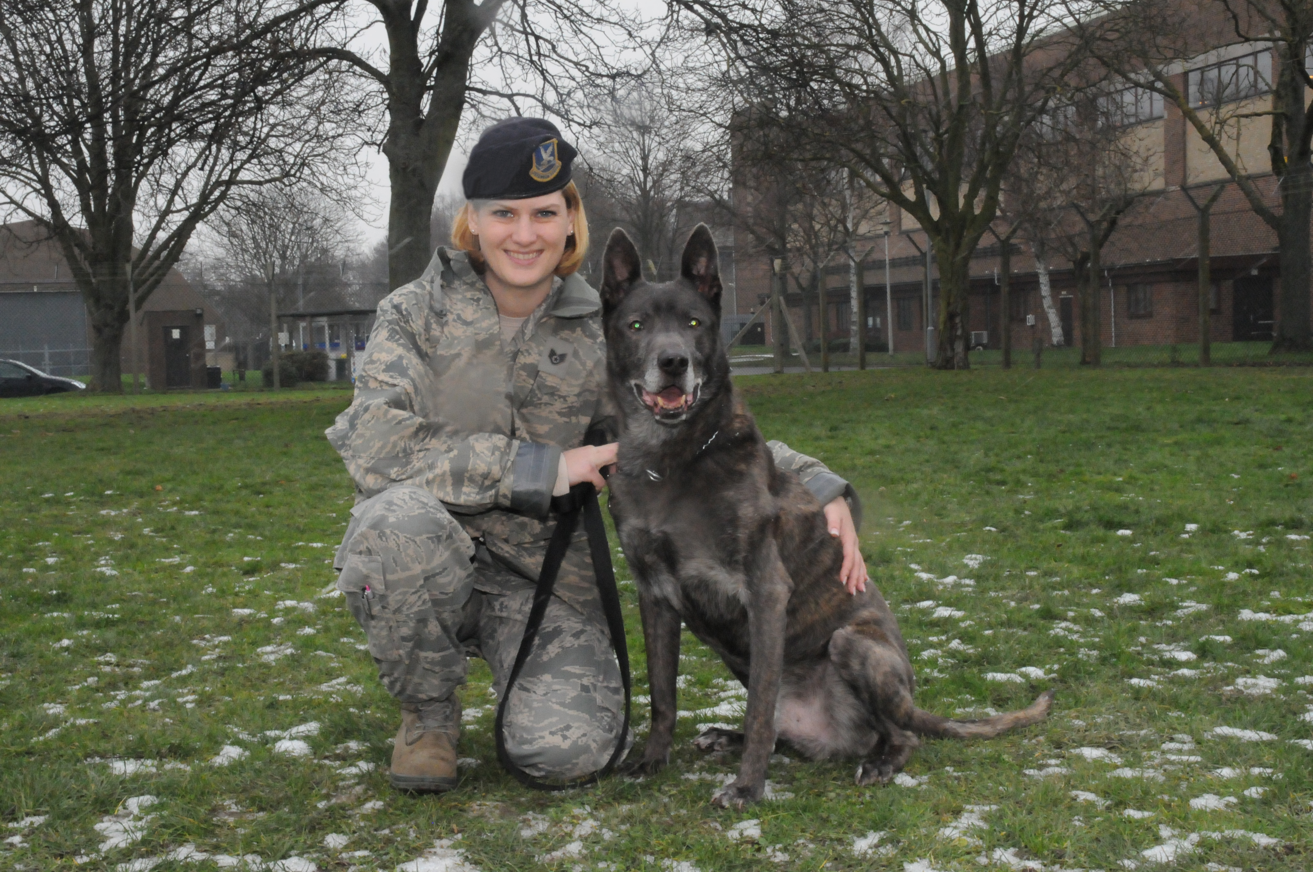 Retired military dogs shop