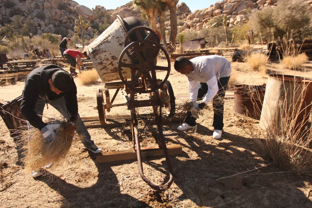 Lance Cpls. Jhonatan Cardenes (left) and Justin Clark, both electricians with Support Company, 3rd Combat Engineer Battalion, remove unwanted vegetation from the grounds of Keys Ranch in Joshua Tree National Park Jan. 28. Cardenes, Clark and 12 other Marines and sailors from the battalion spent Jan. 28  helping restore a cabin which had succumbed to the harsh climate of the Mojave Desert and removing unwanted vegetation from the ranch.