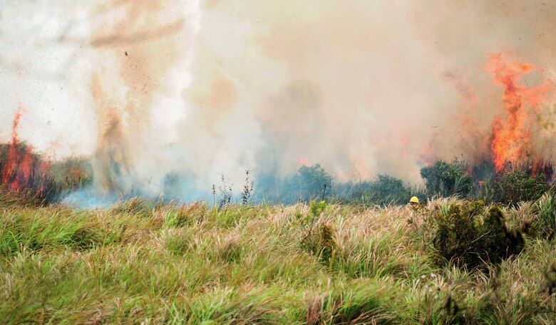 Firefighters from Andersen Air Force Base, Guam, support the local Guam fire department with a wild land fire near the base?s front gate Jan. 26, 2010. Response personnel included 16 firefighters, two medics, three Security Forces Squadron personnel and one Navy helicopter to provide real-time aerial surveillance of the fire and containment efforts. (U.S. Air Force photo by Airman 1st Class Jeffrey Schultze)