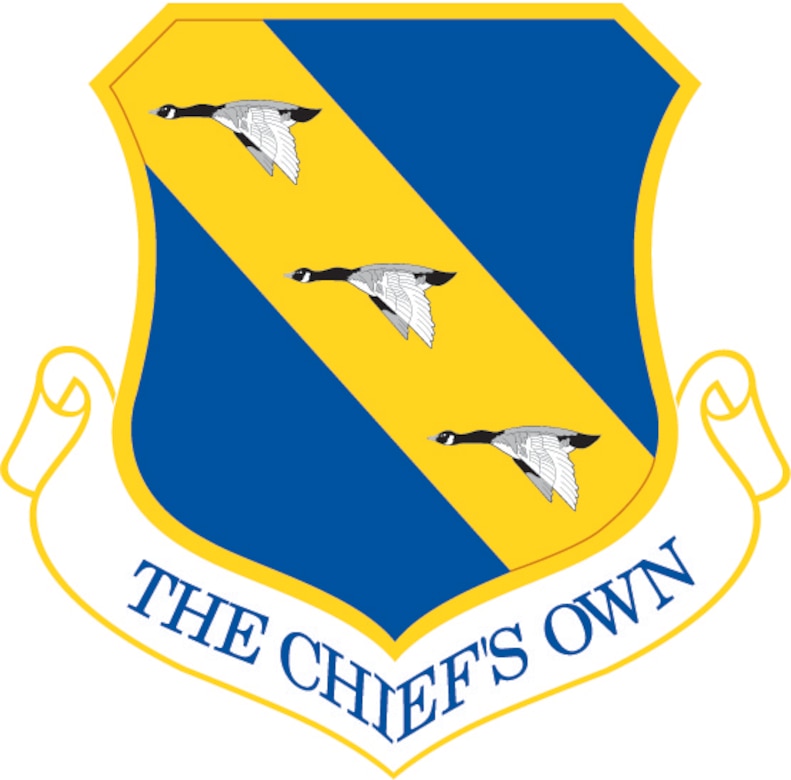 11th Wing shield