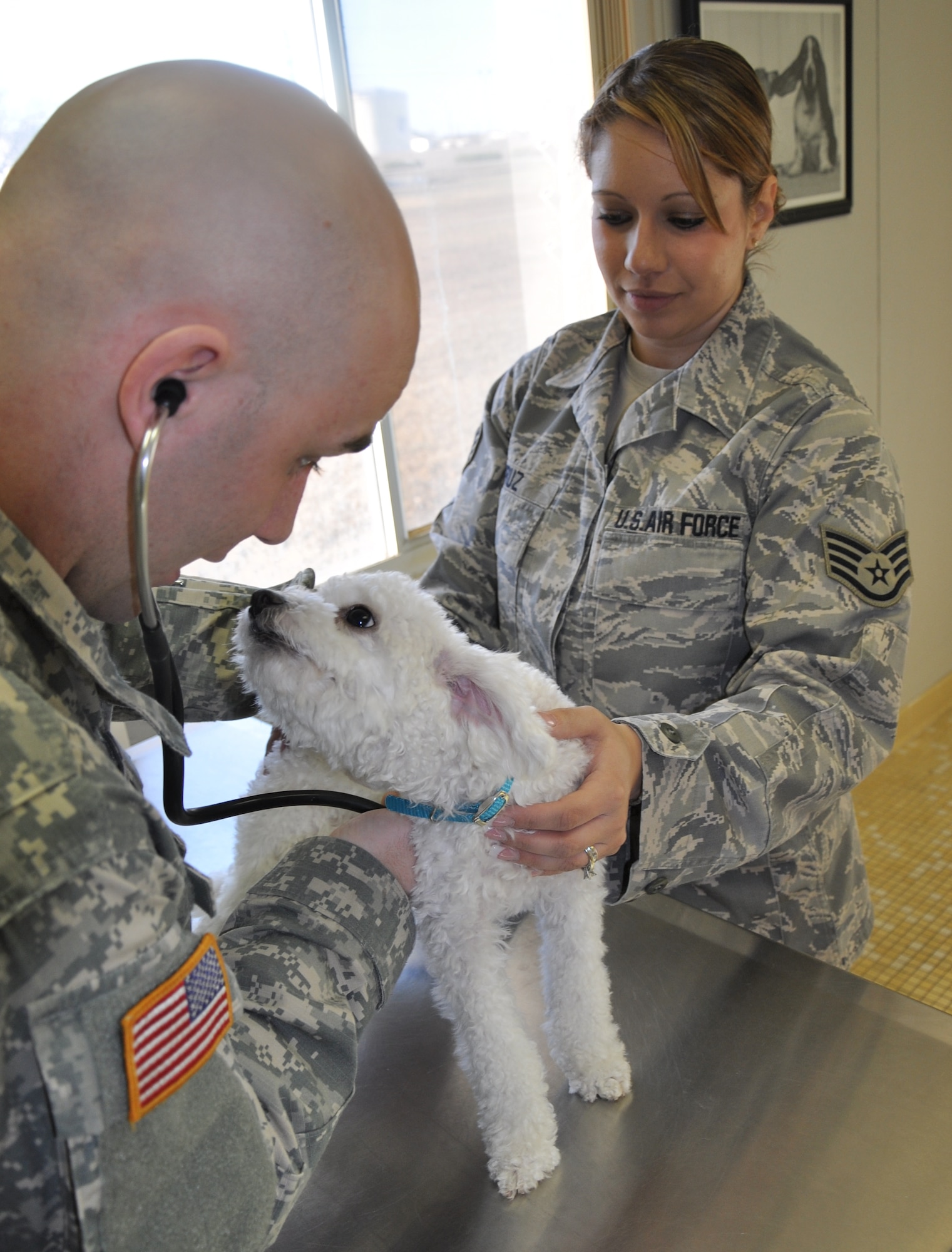 LAUGHLIN AIR FORCE BASE, Texas – Staff Sgt. Nelly Cruz, 47th Medical Support Squadron, holds Coco, her 1-year-old Malti-Poo, as Army Pfc. David Edson, an animal care specialist, checks the dog’s teeth and gums.  The sergeant brought both of her dogs to the Veterinarian Clinic in Building 25 here Jan. 21 for check-ups and vaccinations. (U.S. Air Force photo by Tech. Sgt. Charlie Miller)