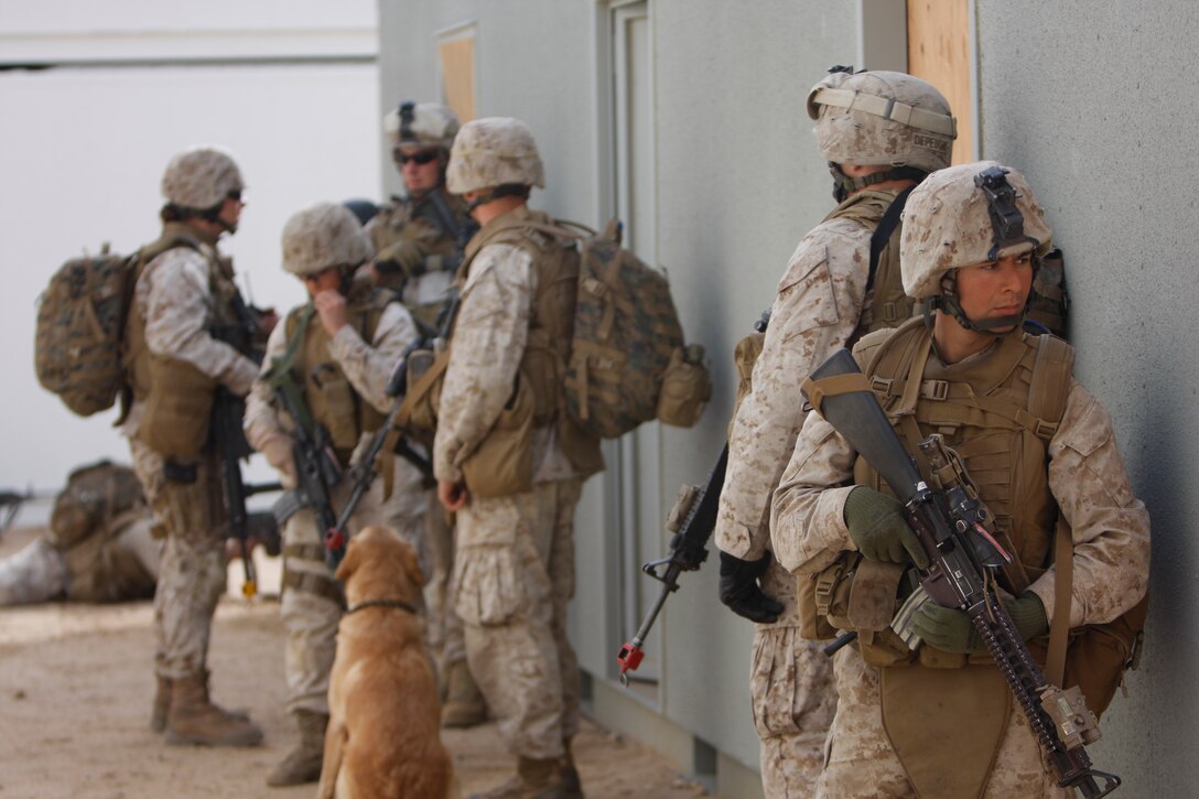 Marines with Company K, 3rd Battalion, 1st Marine Regiment, from Marine Corps Base Camp Pendleton, Calif., along with a military working dog, named Thor stack up outside a building Jan. 31 at Combat Center Range 220. The handlers for the dogs were trained from the unit, and will deploy with their battalion in the spring.