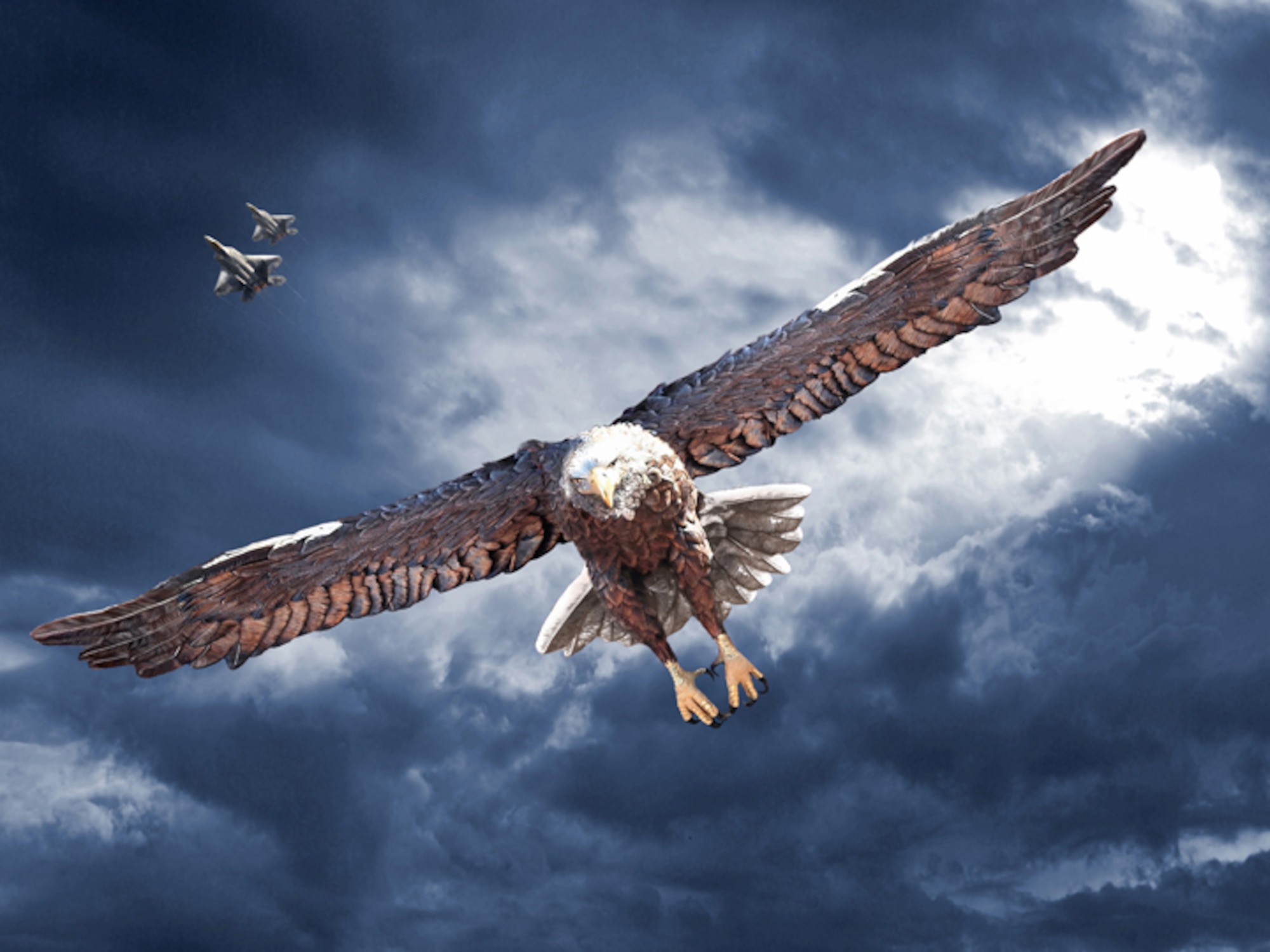"AmericanRaptor"  Created by Ken Chandler. This image is 10x7.5 @ 72 ppi. PDF files for this image, up to 48x36 inches @ 200 ppi, are available by contacting afgraphics@dma.mil. This image is copyrighted and is the property of Ken Chandler and is available only to members of the armed forces and military organizations.