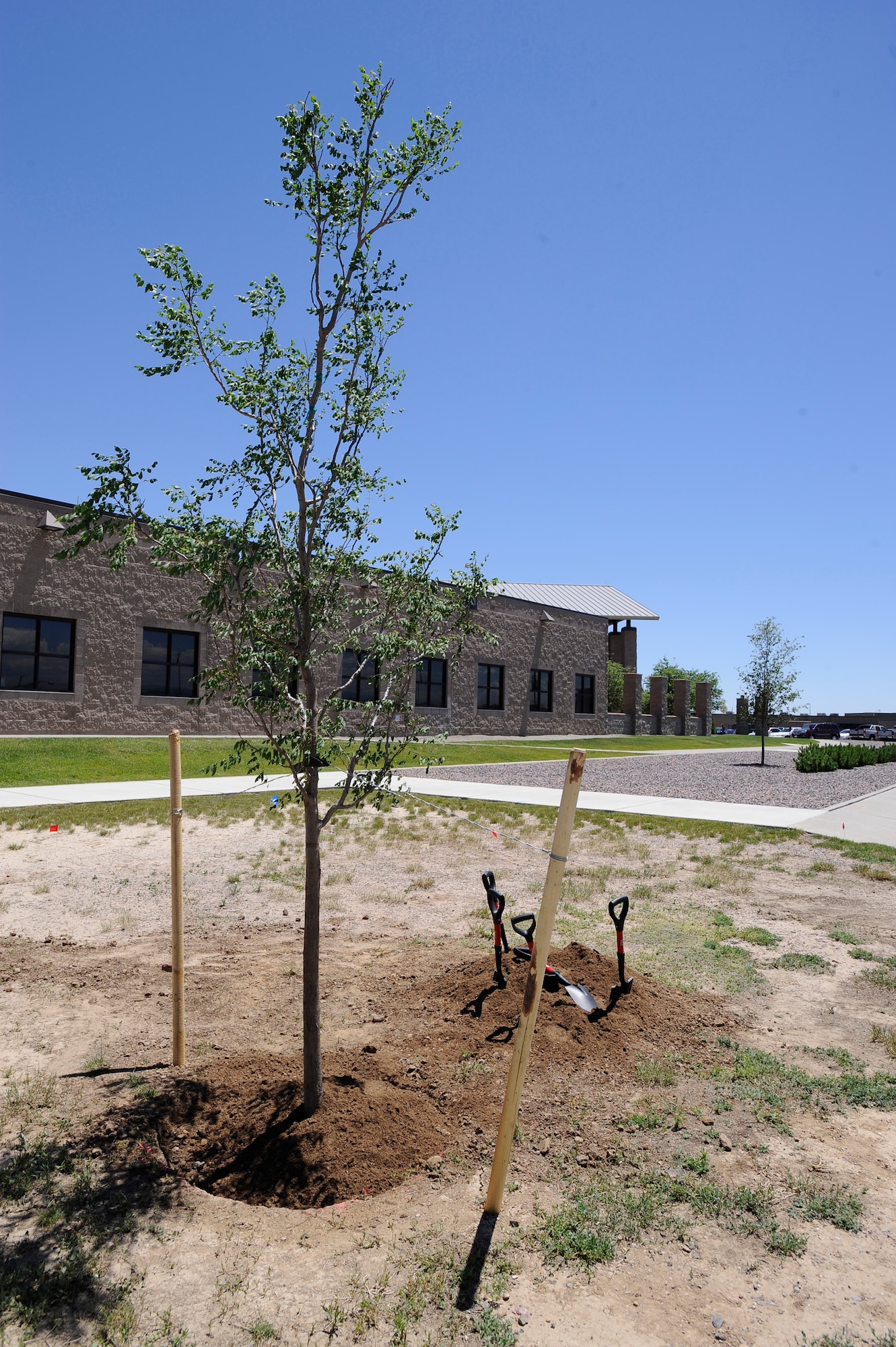 BUCKLEY AIR FORCE BASE, Colo. -- Members of Team Buckley planted this tree during the Arbor Day Celebration June 30. (U.S. Air Force photo by Staff Sgt. Dallas Edwards)