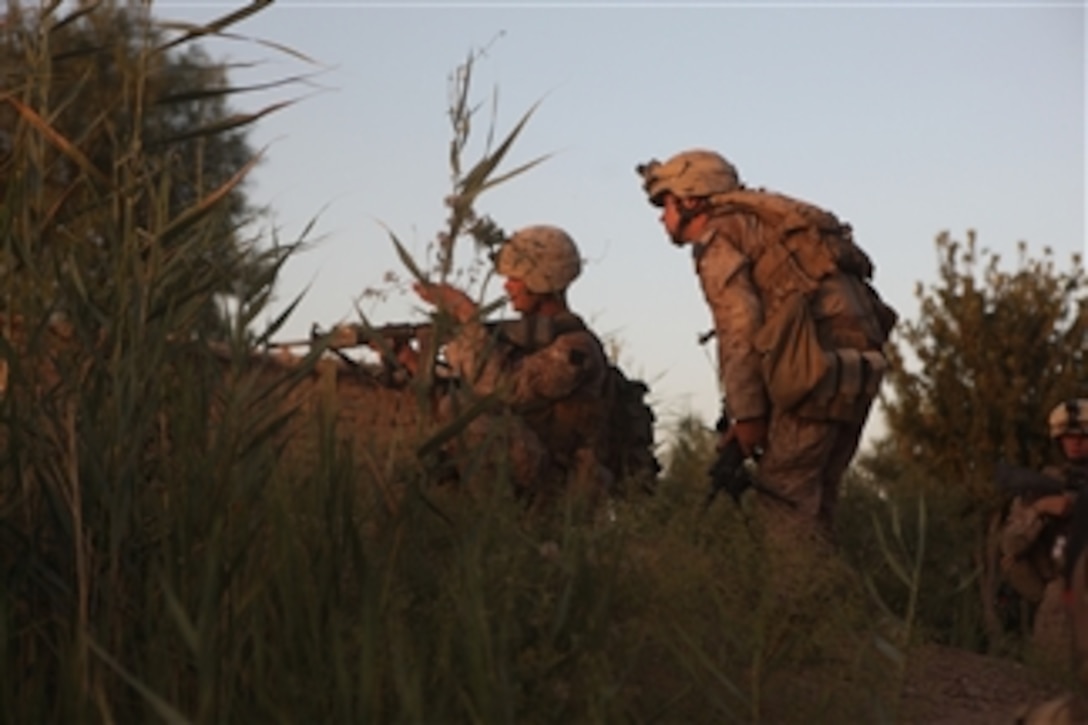 U.S. Marines with 2nd Platoon, Lima Company, 3rd Battalion, 6th Marine Regiment, Regimental Combat Team 7 look for an enemy position while on patrol in Marjah, Afghanistan, on June 10, 2010.  The Marines were deployed in Helmand province in support of the International Security Assistance Force.  