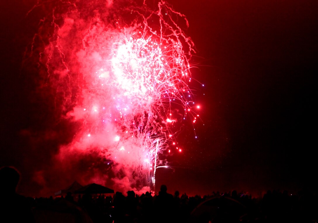 Fireworks light up the night sky during Camp Pendleton's 2010 Beach Bash at Camp Del Mar Beach in honor of Independence Day, July 4. The show was accompanied by patriotic music, then, an after party closed out the event that began at 6 a.m. In addition to the firework display, a crowd of thousands was treated to food, games and live music during the day-long celebration.