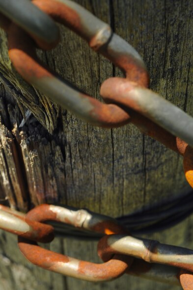 MINOT AIR FORCE BASE, N.D. – This area is home to a few all-natural, all-terrain vehicles. (U.S. Air Force photo by Airman 1st Class Aaron-Forrest Wainwright) 