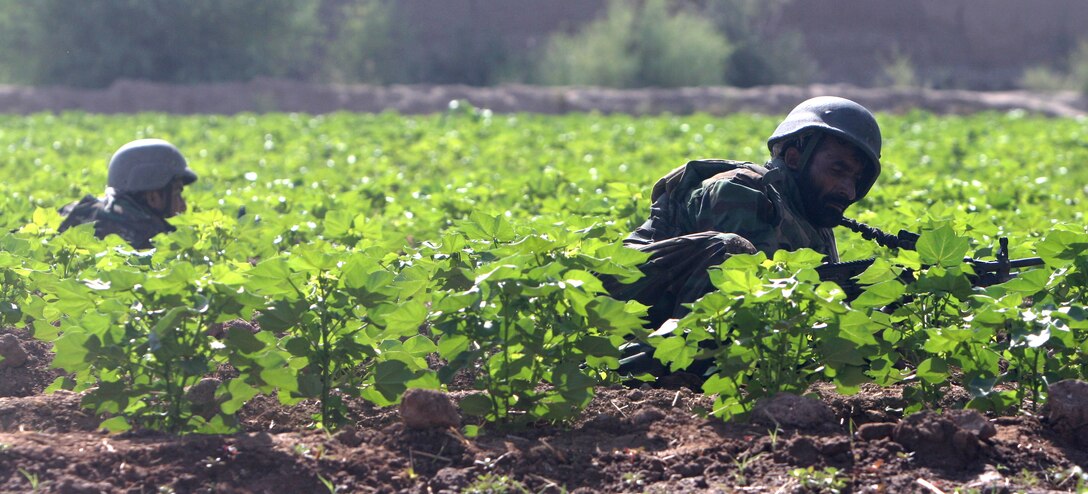 Soldiers from the Afghan Nation Army take cover in a field after exchanging fire with the enemy in Karez-e Sayyidi, Helmand province, Afghanistan, July 9, 2010. Soldiers from the ANA and Marines from Lima Company, 3rd Battalion, 6th Marine Regiment, have faced intense fighting in Karez-e Sayyidi in recent weeks.