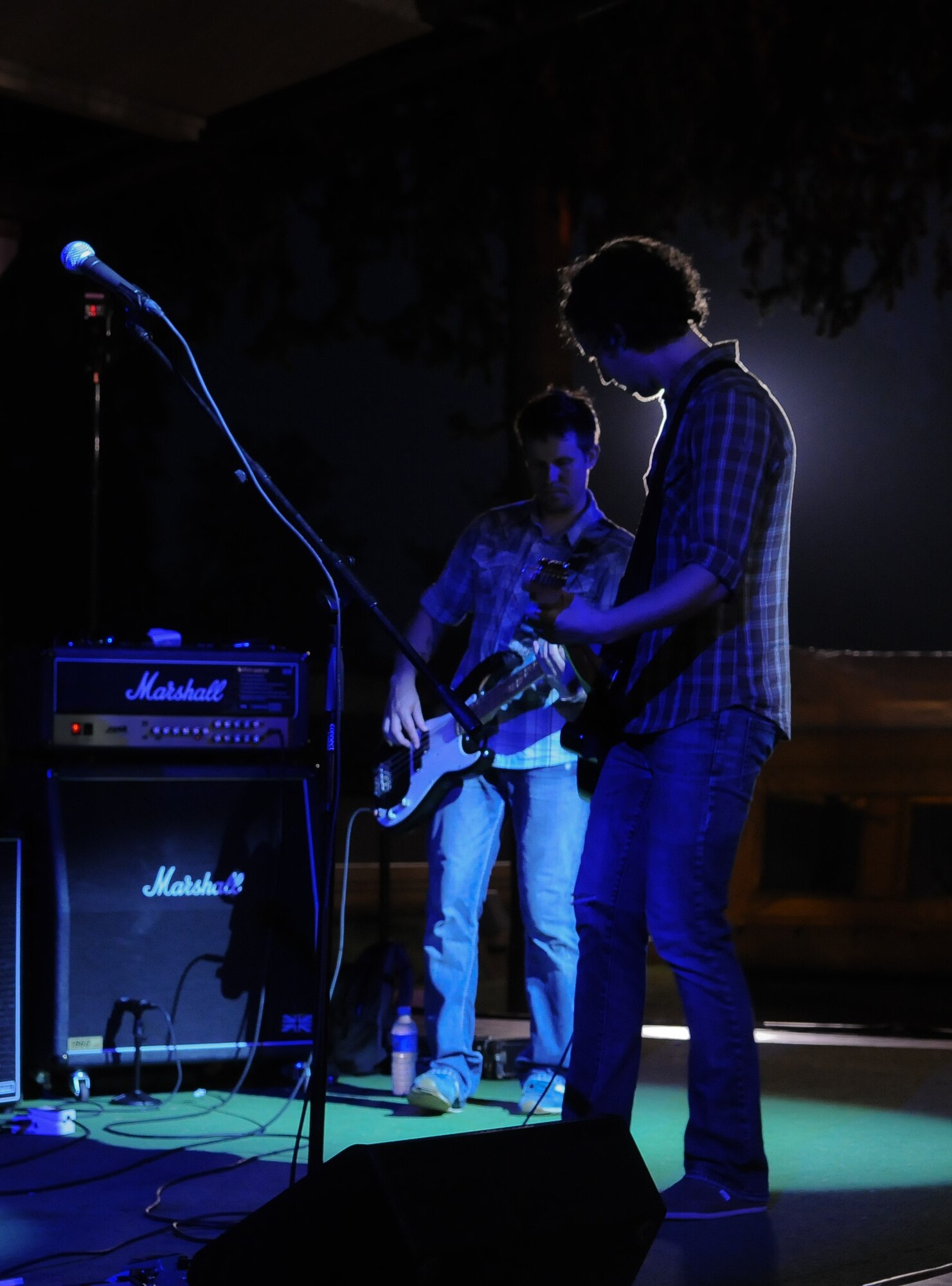 Rantings of Eva, an Atlanta based band, performs during the base’s Independence Day celebration July 4, 2010 Incirlik Air Base, Turkey. Arkadas Park was filled with events, music and food that helped base members celebrate the holiday. (U.S. Air Force photo/Senior Airman Alexandre Montes)
