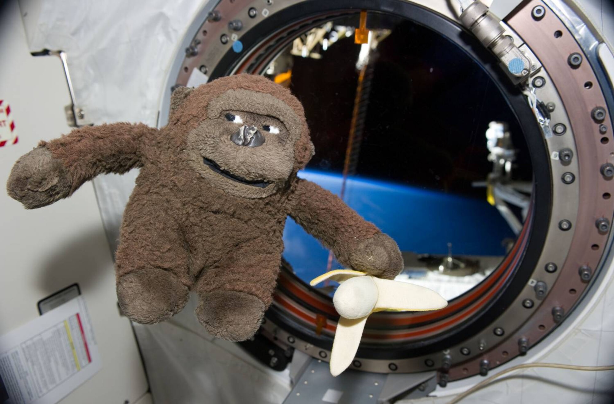 Col. Jim Dutton, a former member of the 493rd Fighter Squadron, snapped this picture of the 493rd FS mascot, Spank the Gorilla, aboard the International Space Station. Colonel Dutton visited RAF Lakenheath July 8 and 9 to share his experiences. (Photo courtesy of Col. Jim Dutton)