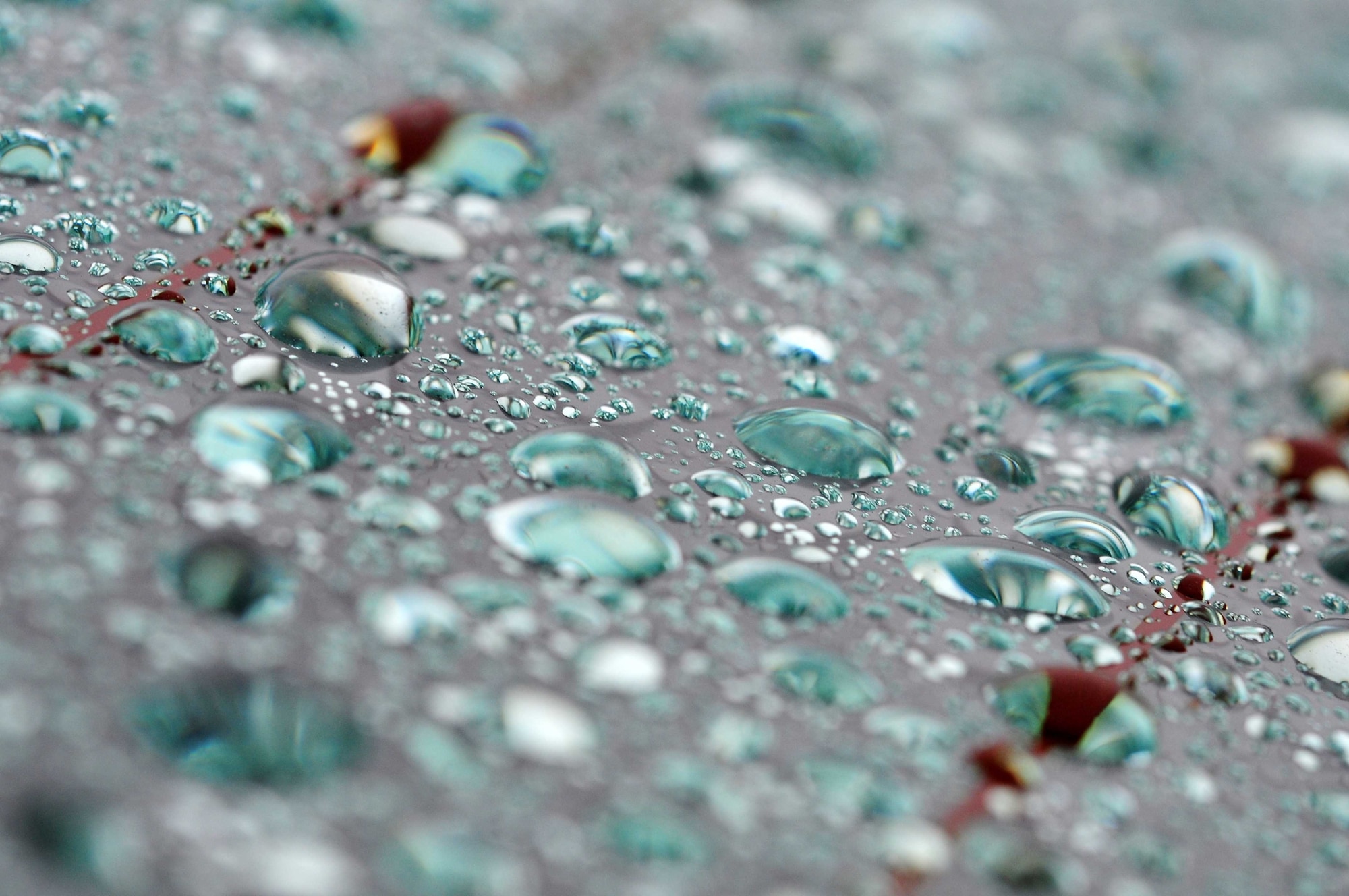 According to British folklore, if it rains on July 15, St. Swithin’s Day, it means we can expect 40 more days of rain. 