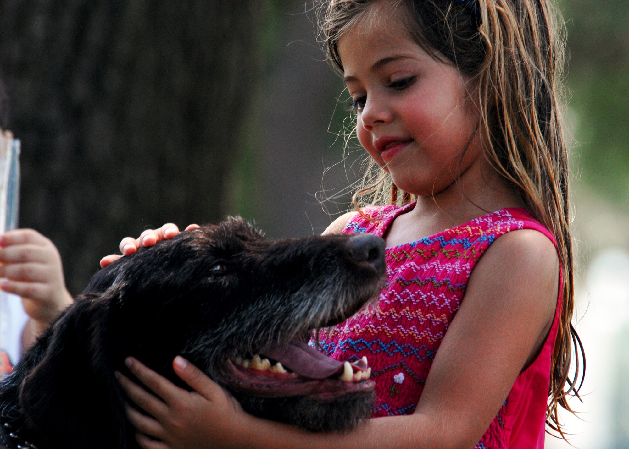 Kanjer, a wire-haired pointer with the 96th Security Forces Squadron, gets a head-scratch from an attendee of the All-American Heroes picnic July 9 at Eglin Air Force Base, Fla.  (U.S. Air Force photo/Samuel King Jr.)