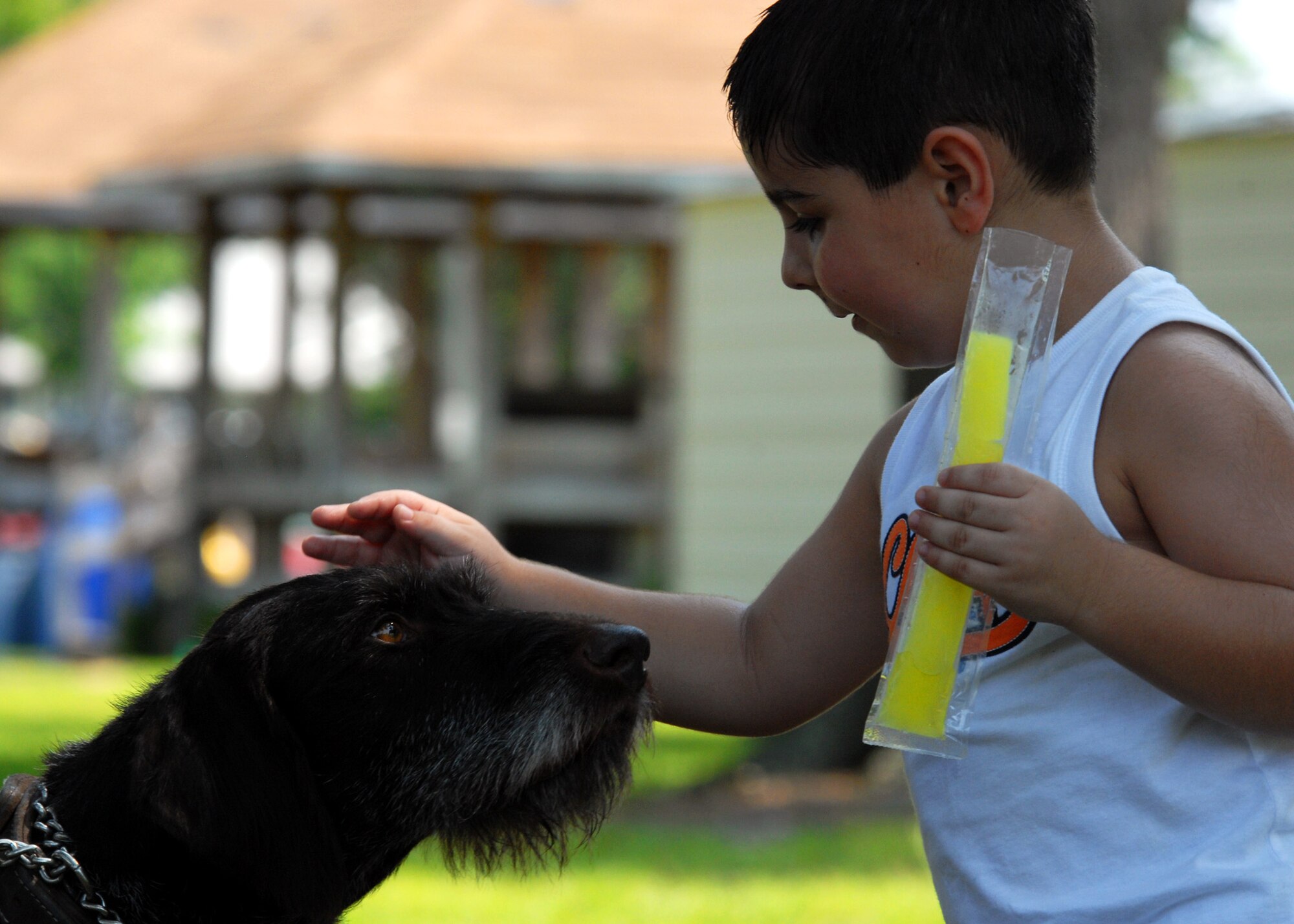 Alessandro Martinez pets Kanjer, a wire-haired pointer with the 96th Security Forces Squadron, during the All-American Heroes picnic July 9 at Eglin Air Force Base, Fla.  (U.S. Air Force photo/Samuel King Jr.)