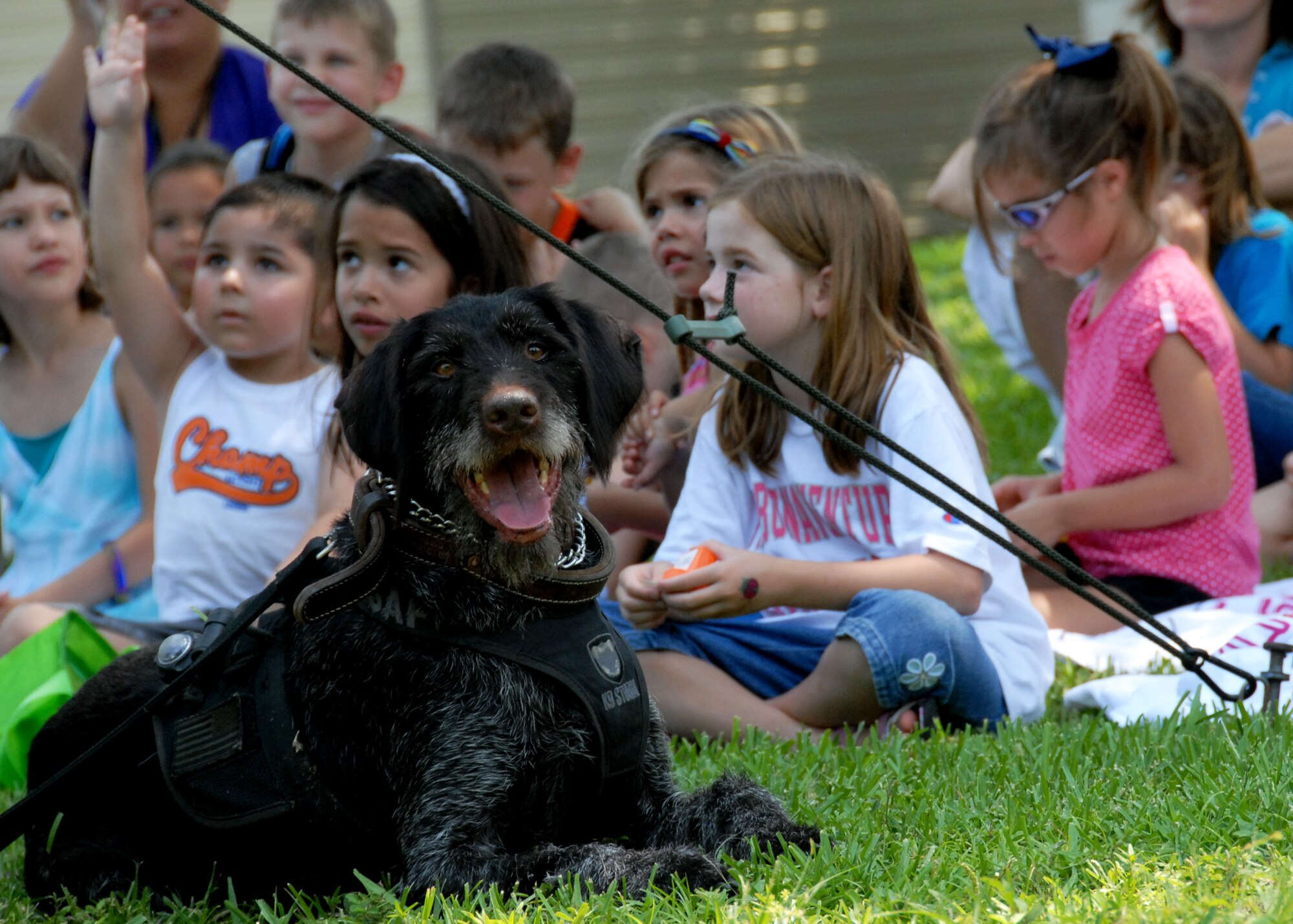 Kanjer, a wire-haired pointer with the 96th Security Forces Squadron, takes a spot in the shade while the children begin storytime during the All-American Heroes picnic July 9 at Eglin Air Force Base, Fla.  (U.S. Air Force photo/Samuel King Jr.)