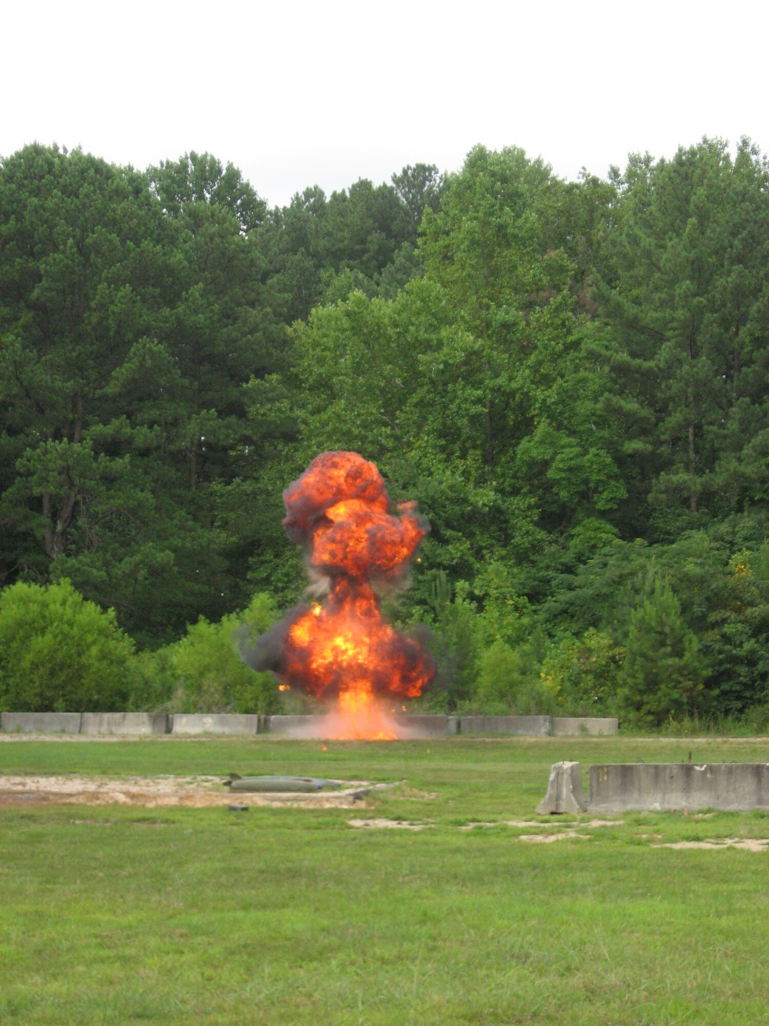 Employers of Dobbins servicemembers watch as 94th EOD Flight demonstrate an explosion. (US Air Force photo by JD Markmann)