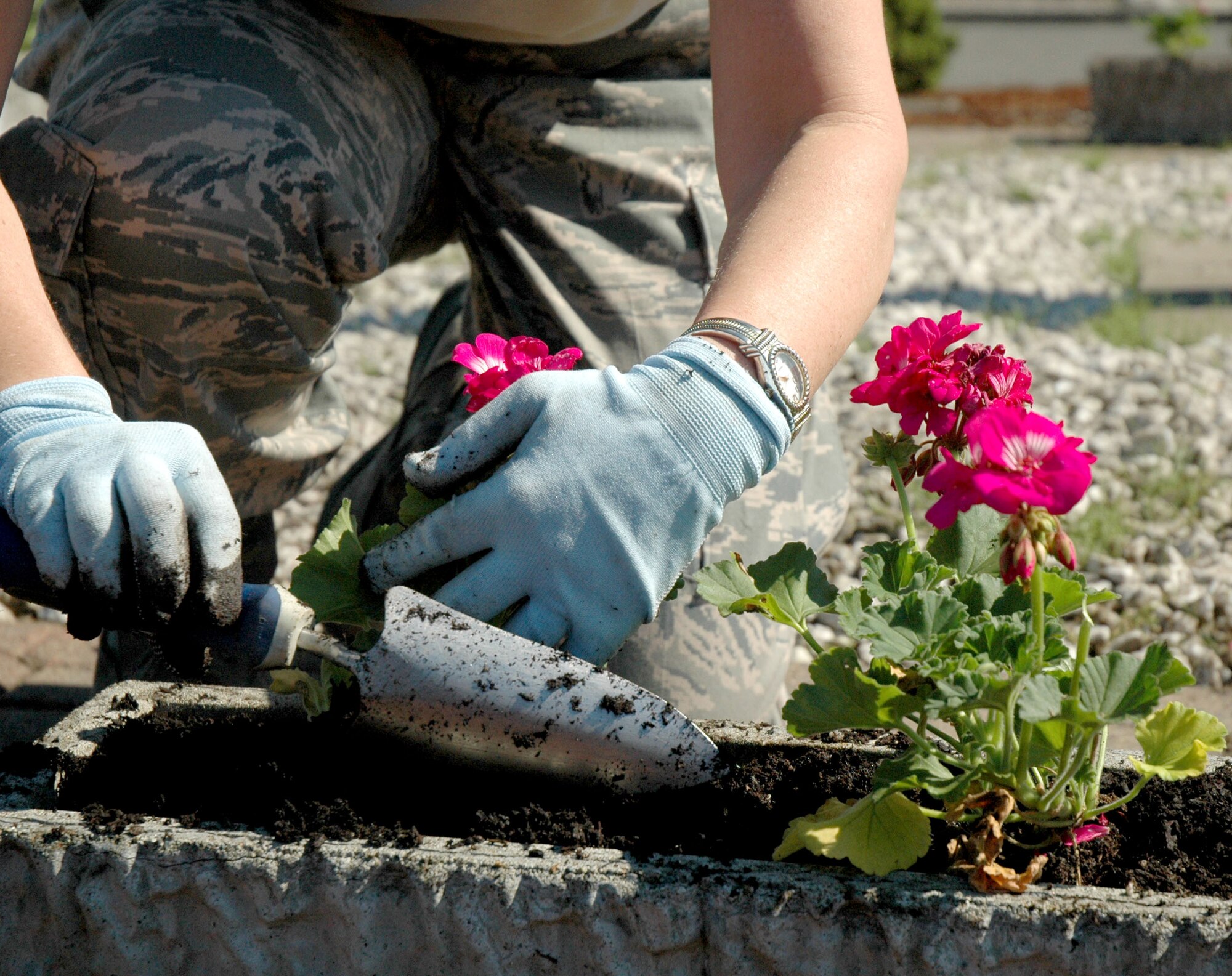 JOINT BASE LEWIS-MCCHORD, Wash. - Flowers bring new life to the McChord 13 memorial site here as a result of a cleanup drive organized by aircraft maintainers with the 446th Aircraft Maintenance Squadron here, July 10. The Reservists took part in the beautification effort to honor the 13 Airmen who died after their C-141 aircraft crashed during a routine refueling flight over Montana, Nov. 30, 1992. (U.S. Air Force Photo/Staff Sgt. Nicole Celestine)