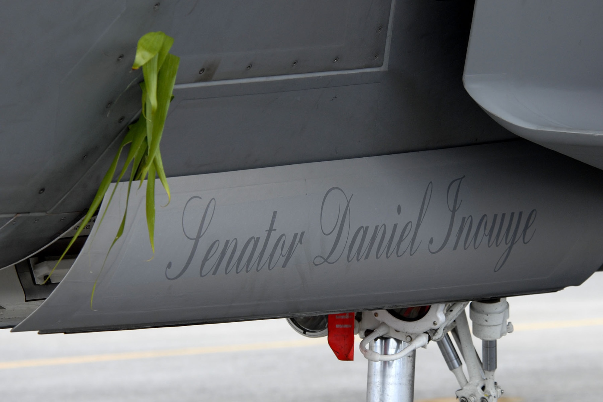 An F-22 Raptor tail number 045 dedicated to U.S. Senator Daniel K. Inouye with the Hawaiian ti leaves used to bless the Raptors during  the Arrival Ceremony at Joint Base Pearl Harbor-Hickam, Hawaii, July 9, 2010. The arrival of the F-22 Raptor marks the beginning of a new associate unit between the Hawaii Air National Guard and the 15th Wing, active duty Air Force.  The Raptor represents an exponential leap in warfighting capabilities for U.S. forces in the Pacific. (U.S. Air Force photo/Tech Sgt. Jerome S. Tayborn)