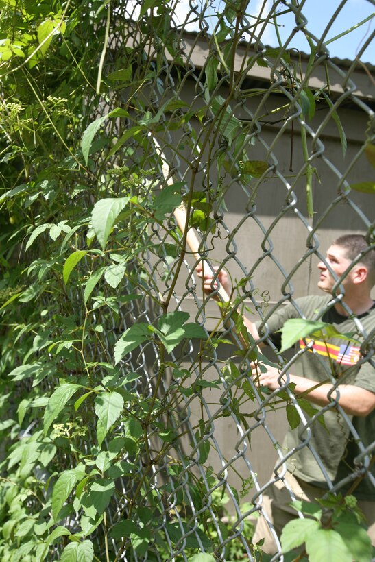 Lance Cpl. Daniel Teriele, a finance technician with Mobilization Command, Marine Forces Reserve, uses a trimming tool to pull vines off  a fence in a caged area where animals sleep and eat after operating hours at the Audubon Zoo in New Orleans. Teriele was one of four Marine volunteers who gave time to clean up the zoo by trimming grass, and clearing excess brush in animal exhibits. Teriele has volunteered at multiple other events during his time here at MarForRes.