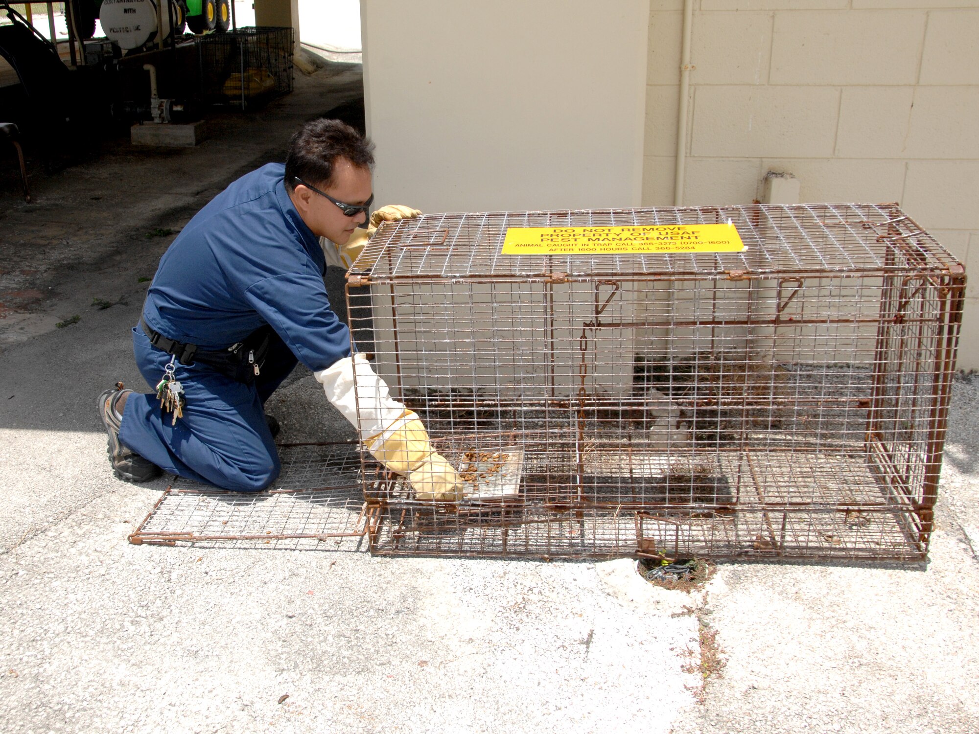 ANDERSEN AIR FORCE BASE, Guam - Jesse B. Chago, a civilian employee with the pest management section here, demonstrates how the animal traps function July 9. The traps are designed to cause no harm to the animals when activated. (U.S. Air Force photo by Airman Whitney Amstutz)
