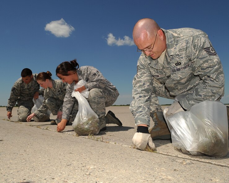 Members from the 319th Operation Support Squadron remove weeds from the flightline July 10. They teamed up with fellow Grand Forks airmen from Base Operations and Air Traffic Control to remove weeds from a 700,000 square foot area on bravo ramp. The weeds cause pavement damage by shifting and cracking asphalt, causing a potential hazard for all aircraft. (U.S. Air Force photo by Tech Sgt. Johnny Saldivar)