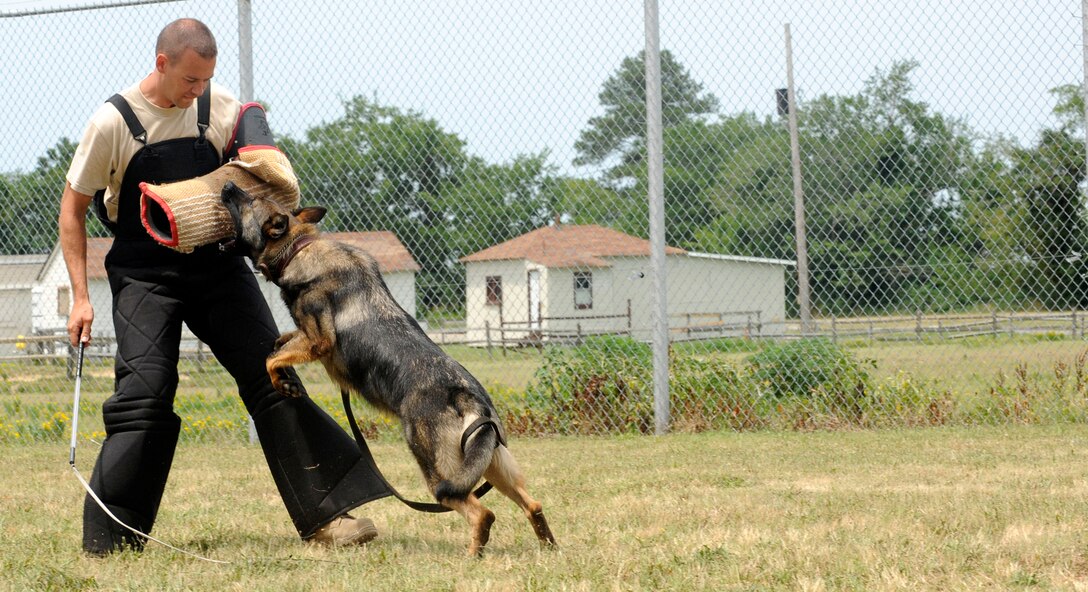 LANGLEY AIR FORCE BASE, Va. – Tech Sgt. Randy Blair, 20th Security Forces Squadron Military Working kennel master from Shaw AFB, SC., practices decoy work with MWD Nero during the Air Combat Command MWD training seminar June 29. Security forces military working dogs and their handlers from across ACC assembled at Langley for the first MWD training seminar. (U.S. Air Force photo/ Senior Airman Dana Hill)