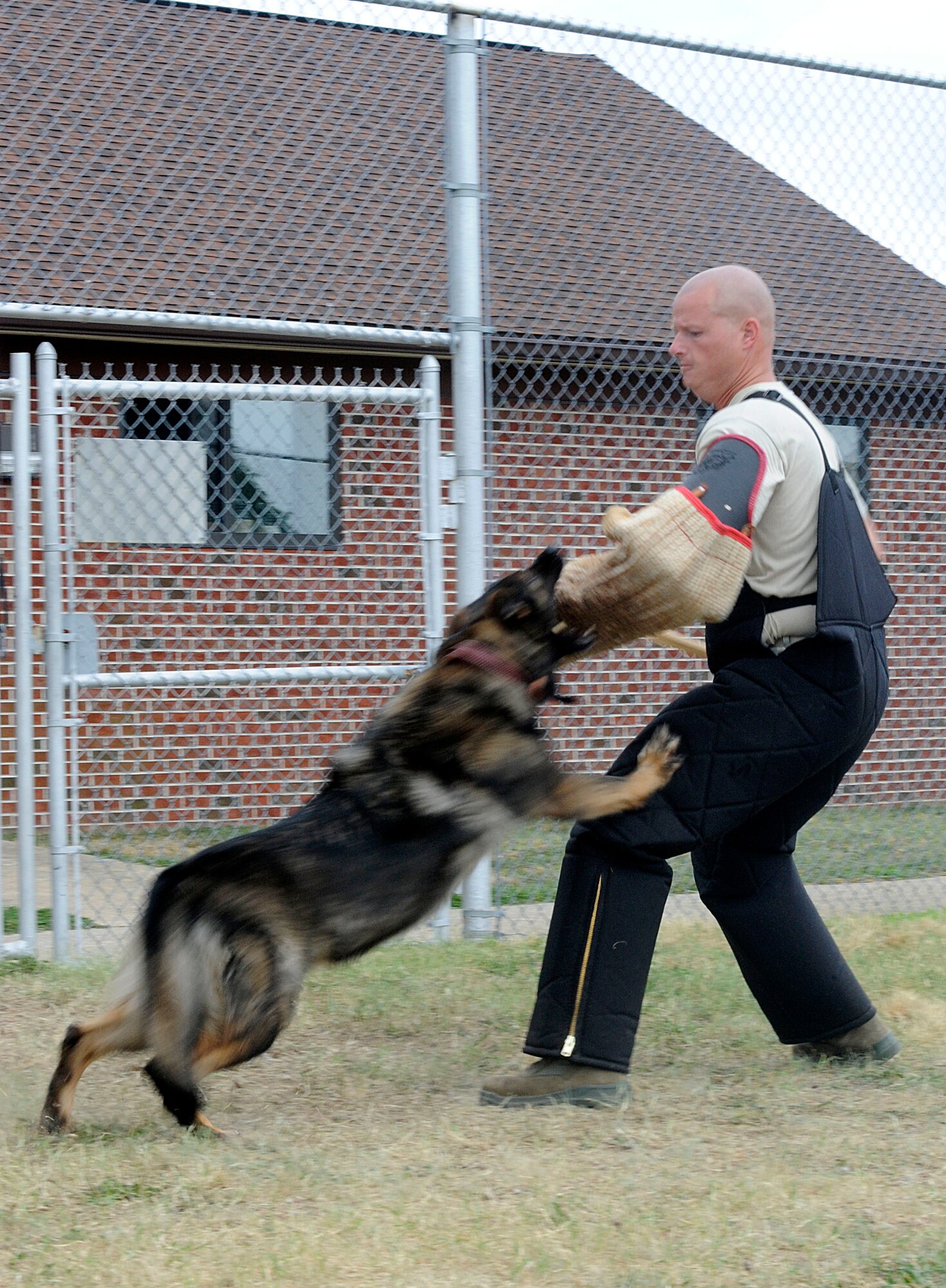 LANGLEY AIR FORCE BASE, Va. – Staff Sgt. Brent Reimers, 4th Security Forces Squadron Military Working Dog trainer from Seymour Johnson AFB, NC. , practices decoy work with MWD Liza during the Air Combat Command MWD training seminar June 29. Security forces military working dogs and their handlers from across ACC assembled at Langley for the first MWD training seminar. (U.S. Air Force photo/ Senior Airman Dana Hill)