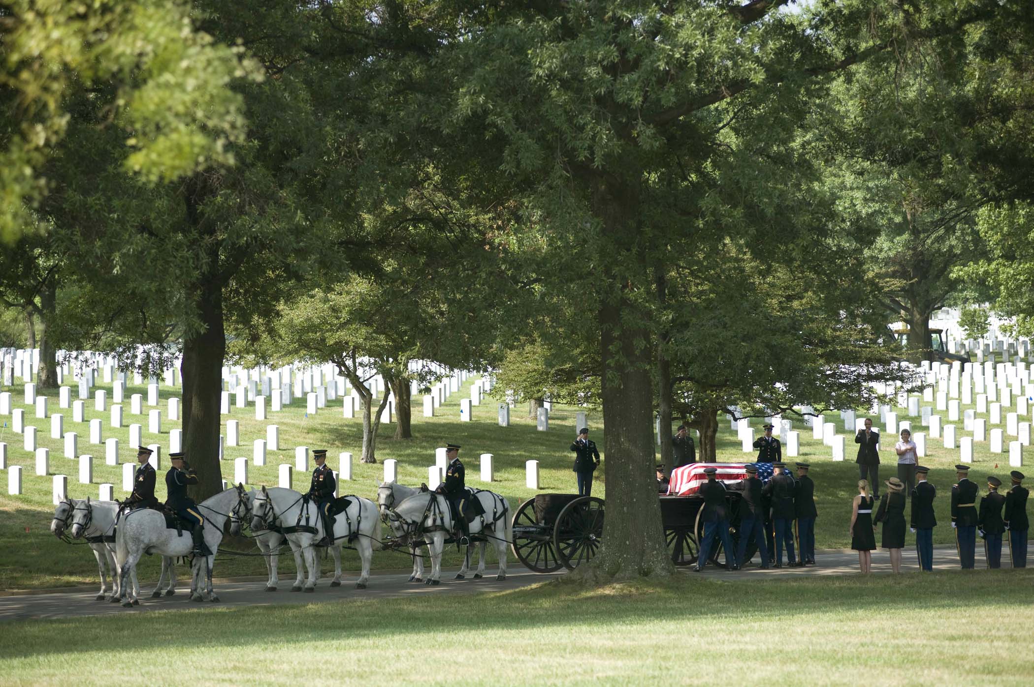 Can You Bring Dogs To Arlington Cemetery
