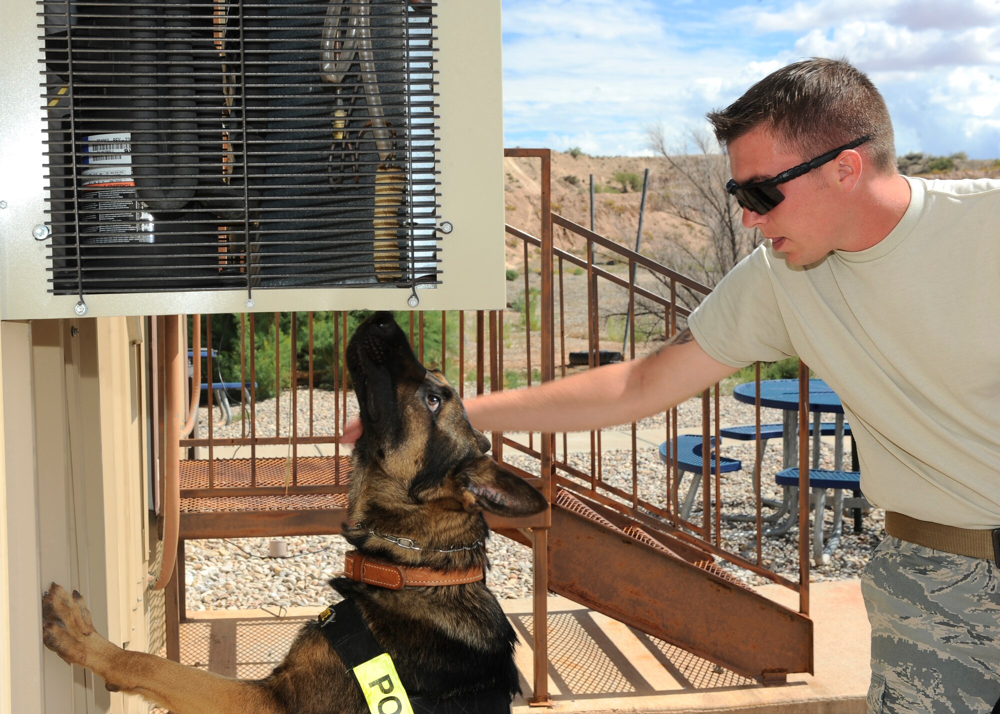 HOLLOMAN AIR FORCE BASE, N.M. -- Staff Sgt. Joel Munson, 49th Security Forces Squadron Military Working Dog Section, conducts detection training with Jacob, a military working dog, at the vacant firing range July 8, 2010. The MWD Team trains with their assigned dogs to prepare them for a validation training test that will certify them to work patrol at Holloman. (U.S. Air Force photo by Senior Airman Veronica Stamps / Released)