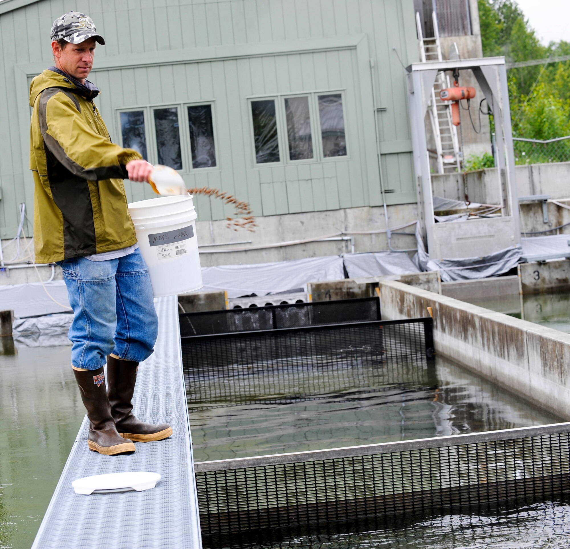 JOINT BASE ELMENDORF-RICHARDSON, Alaska -- Tim Van Gelderen, Fish Culturist I, feeds arctic char being reared at the For Richardson Hatchery, July 13. The new combined Joint Base Elmendorf-Richardson Hatchery will be named for William Jack Hernandez who started the Fort Richardson hatchery in the 1950s. (Air Force photo by Staff Sgt. Brian Fergeson)