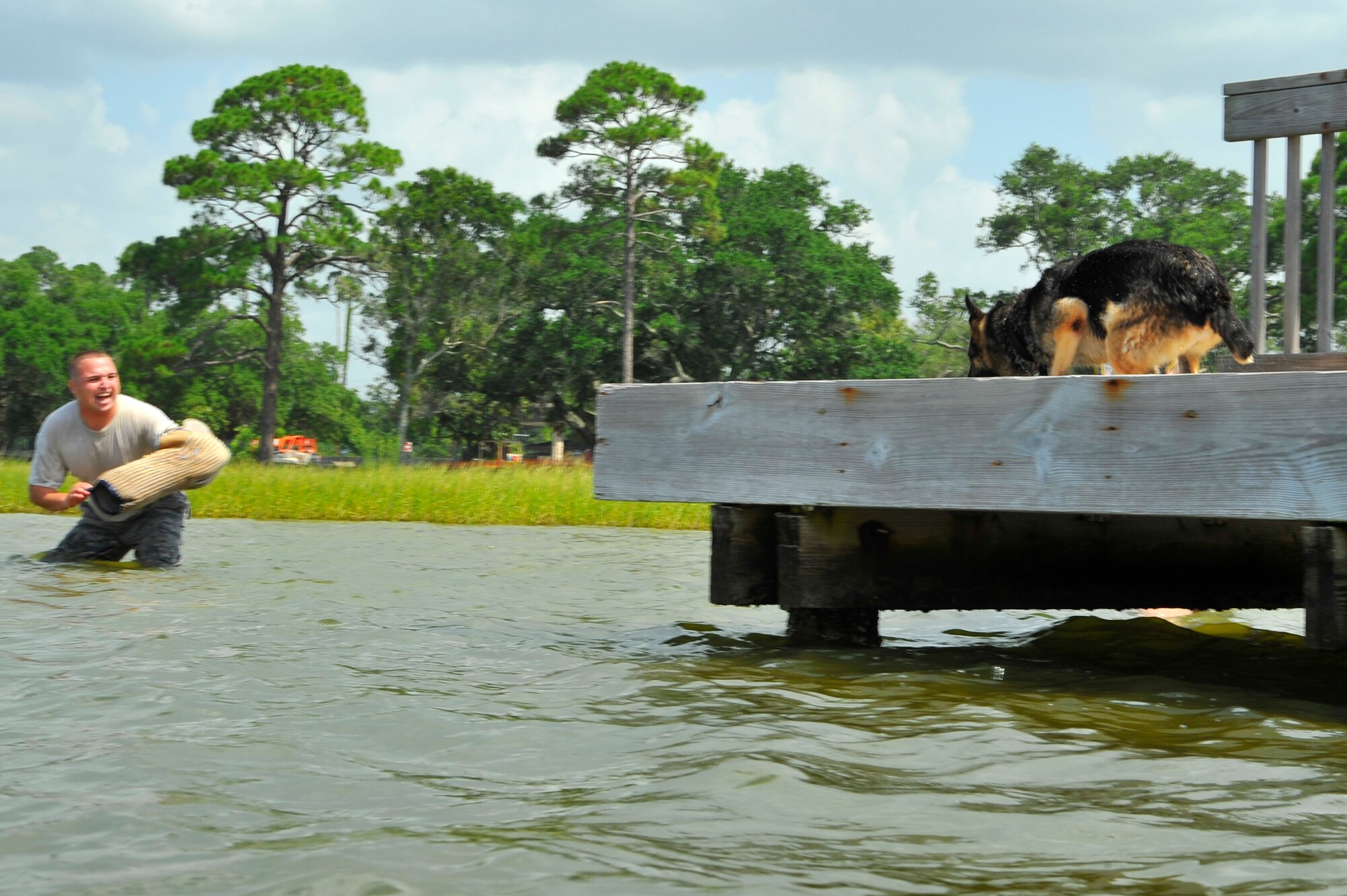U.S. Air Force military working dog Britta prepares to jump from the dock to attack Staff Sgt. Roberto Matos in a controlled water aggression exercise at Hurlburt Field, Fla., July 14, 2010. The goal of water aggression training is to allow the dogs to become more comfortable working in a variety of environments. Sergeant Matos and Britta are assigned to the 1st Special Operations Security Forces Squadron. (DoD photo by U.S. Air Force Senior Airman Sheila deVera/RELEASED)