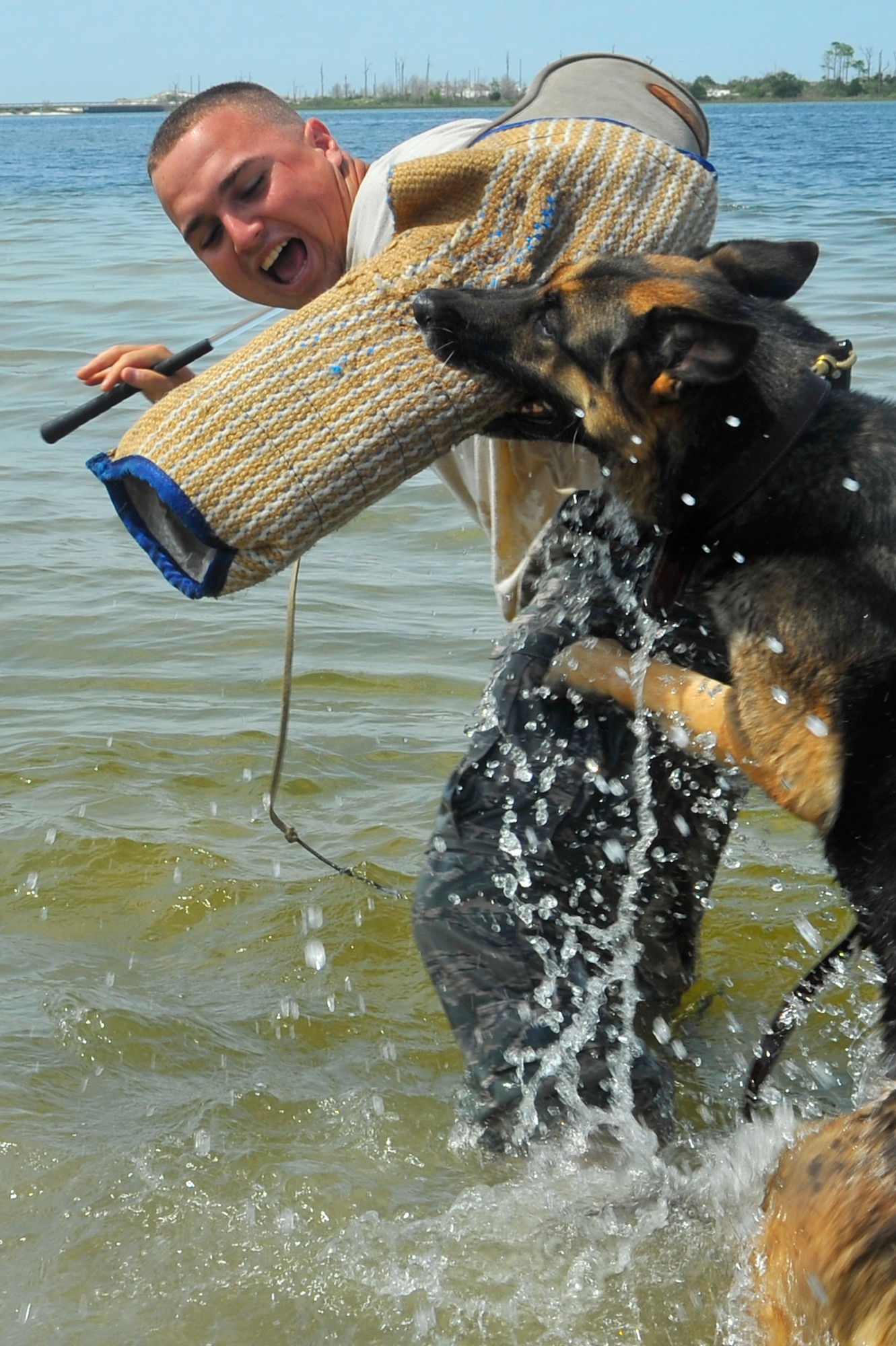 U.S. Air Force Staff Sgt. Roberto Matos gets bit by Britta, a military working dog, in a controlled water aggression exercise at Hurlburt Field, Fla., July 14, 2010. The goal of water aggression training is to allow the dogs to become more comfortable working in a variety of environments. Sergeant Matos and Britta are assigned to the 1st Special Operations Security Forces Squadron. (DoD photo by U.S. Air Force Senior Airman Sheila deVera/RELEASED)